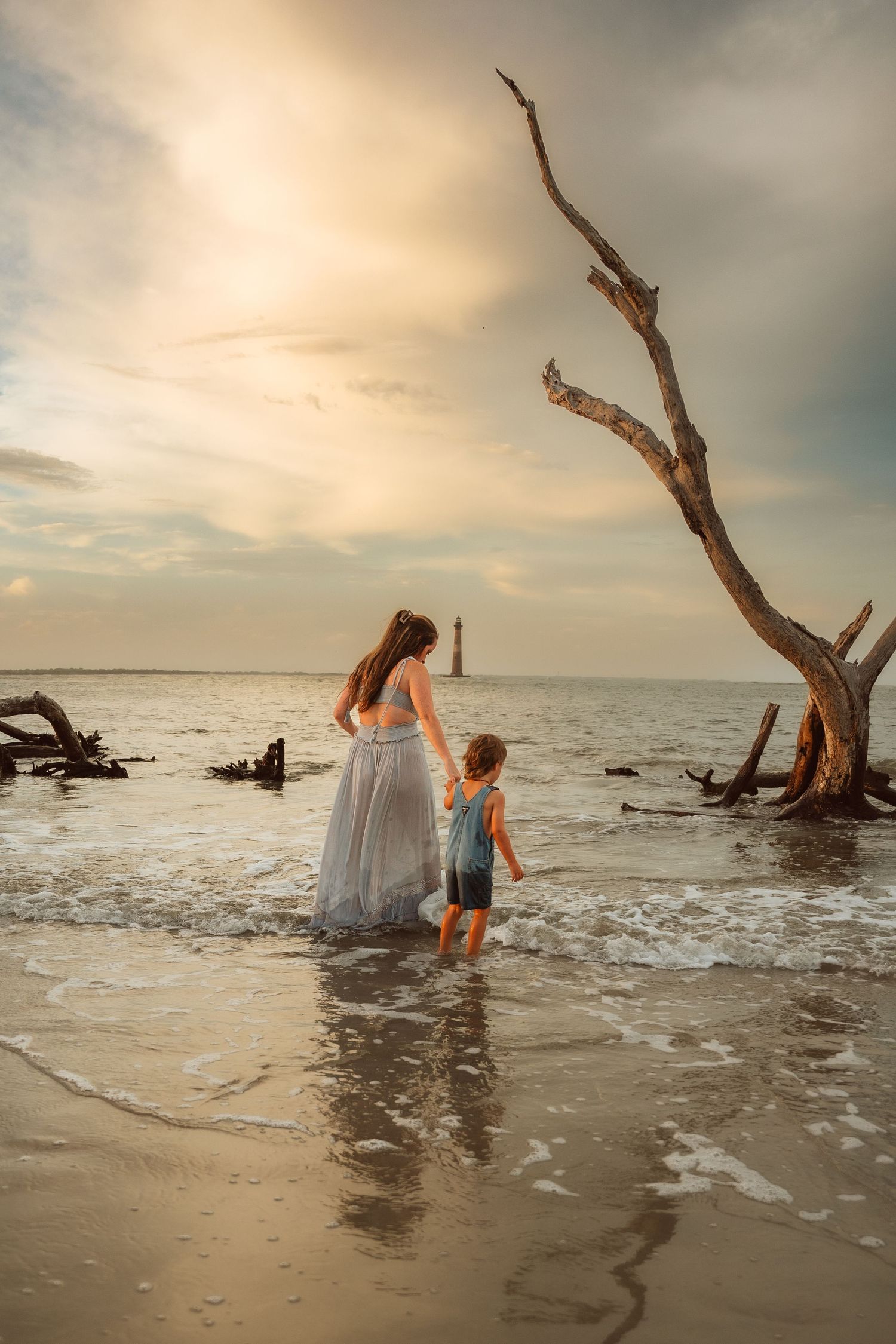 People exploring beach at sunset with dramatic driftwood and waves in background.