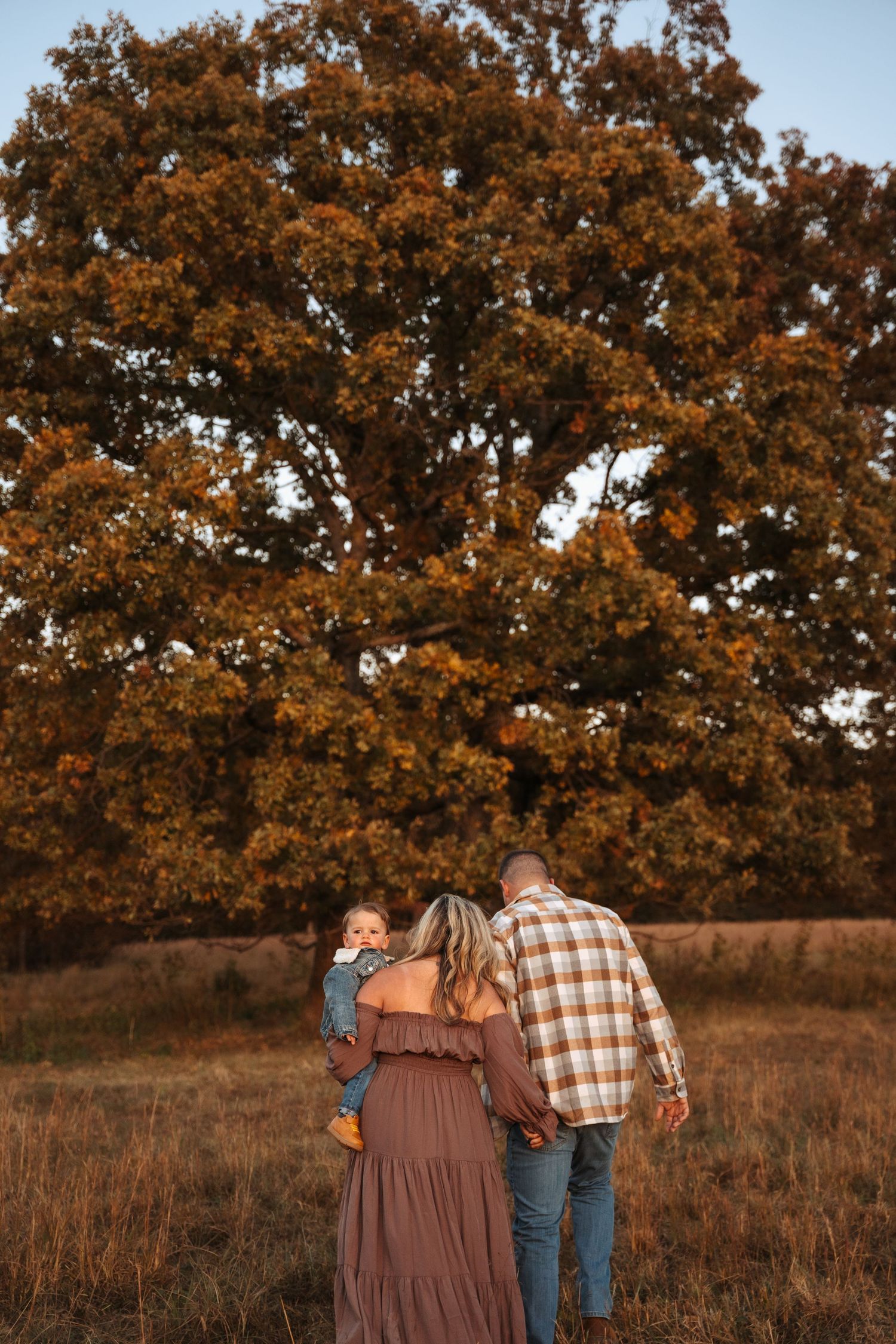Family walking together beneath large oak tree during fall sunset photo session.