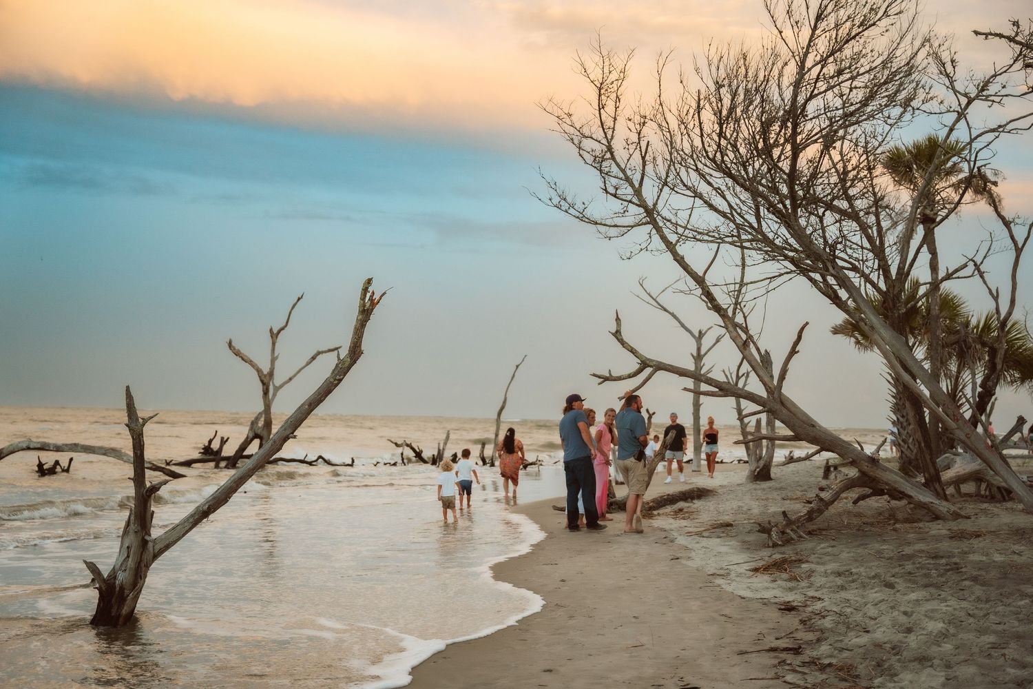 Scenic beach landscape with driftwood and people walking along shoreline at sunset.