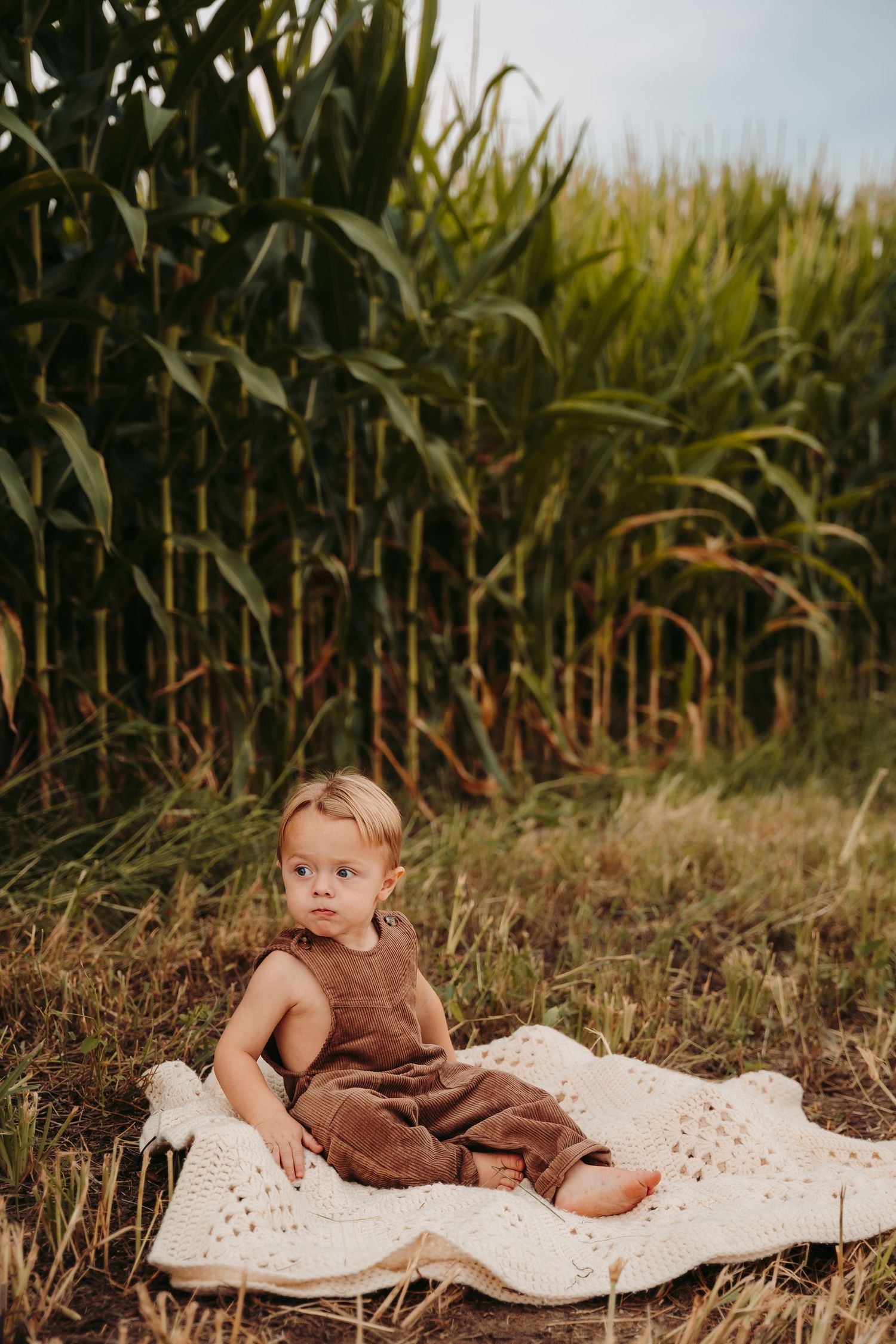 Baby in brown dress lying on white blanket near cornfield at sunset.