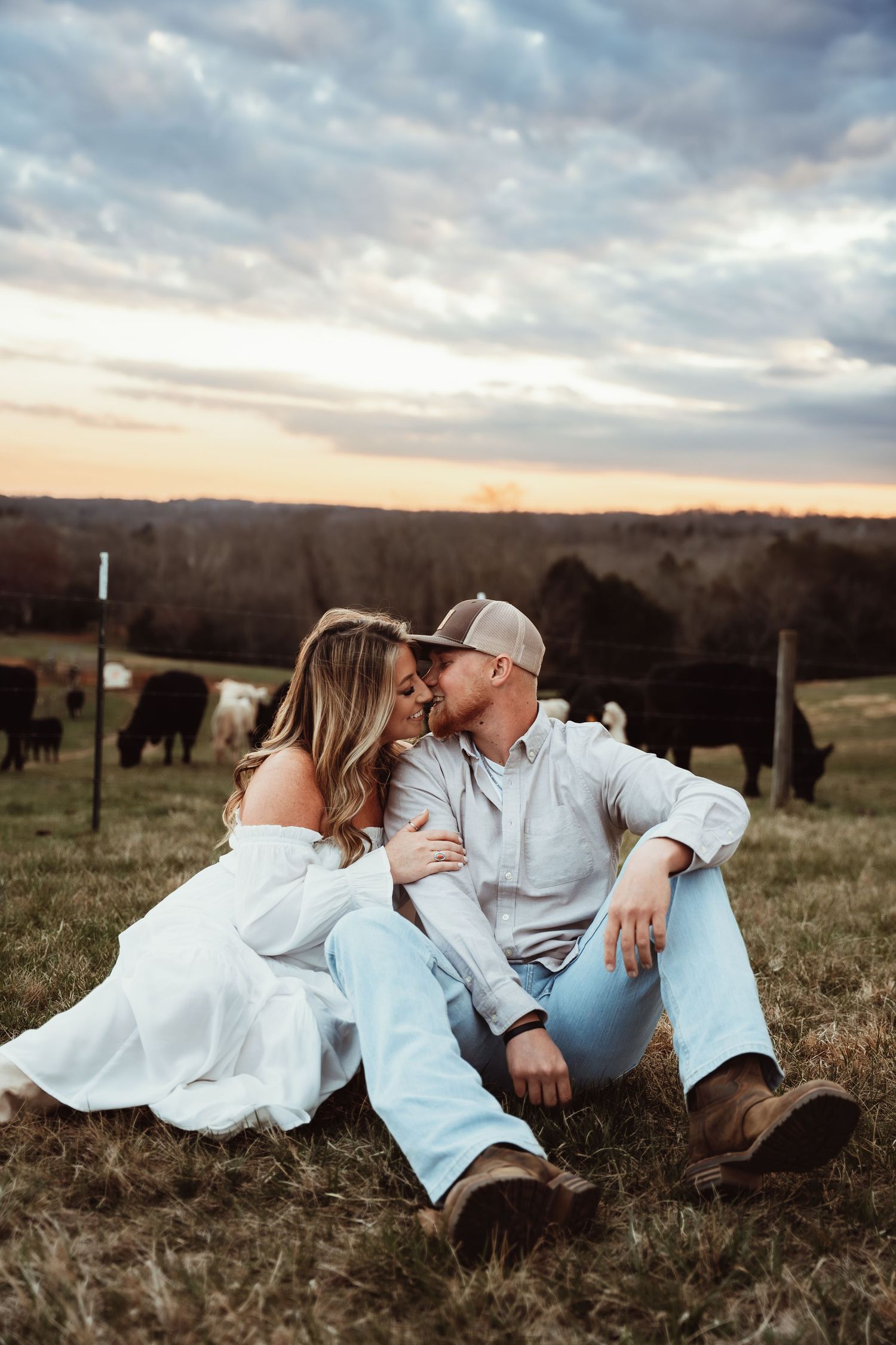 A couple shares an intimate moment while sitting in a field with cattle grazing in the background.