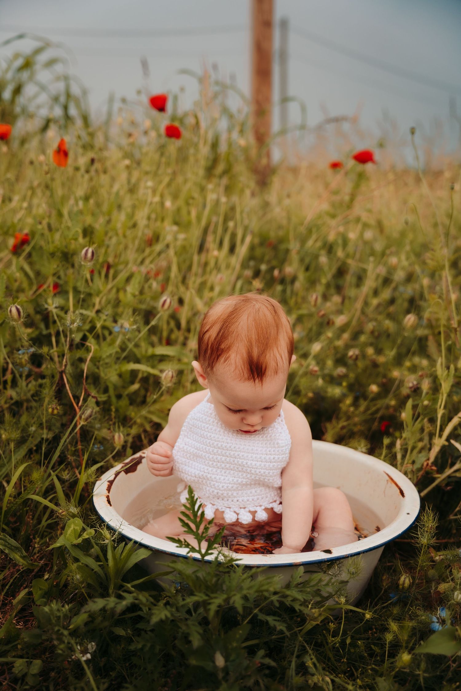Baby in white dress sitting in basin surrounded by wildflowers and red poppies.