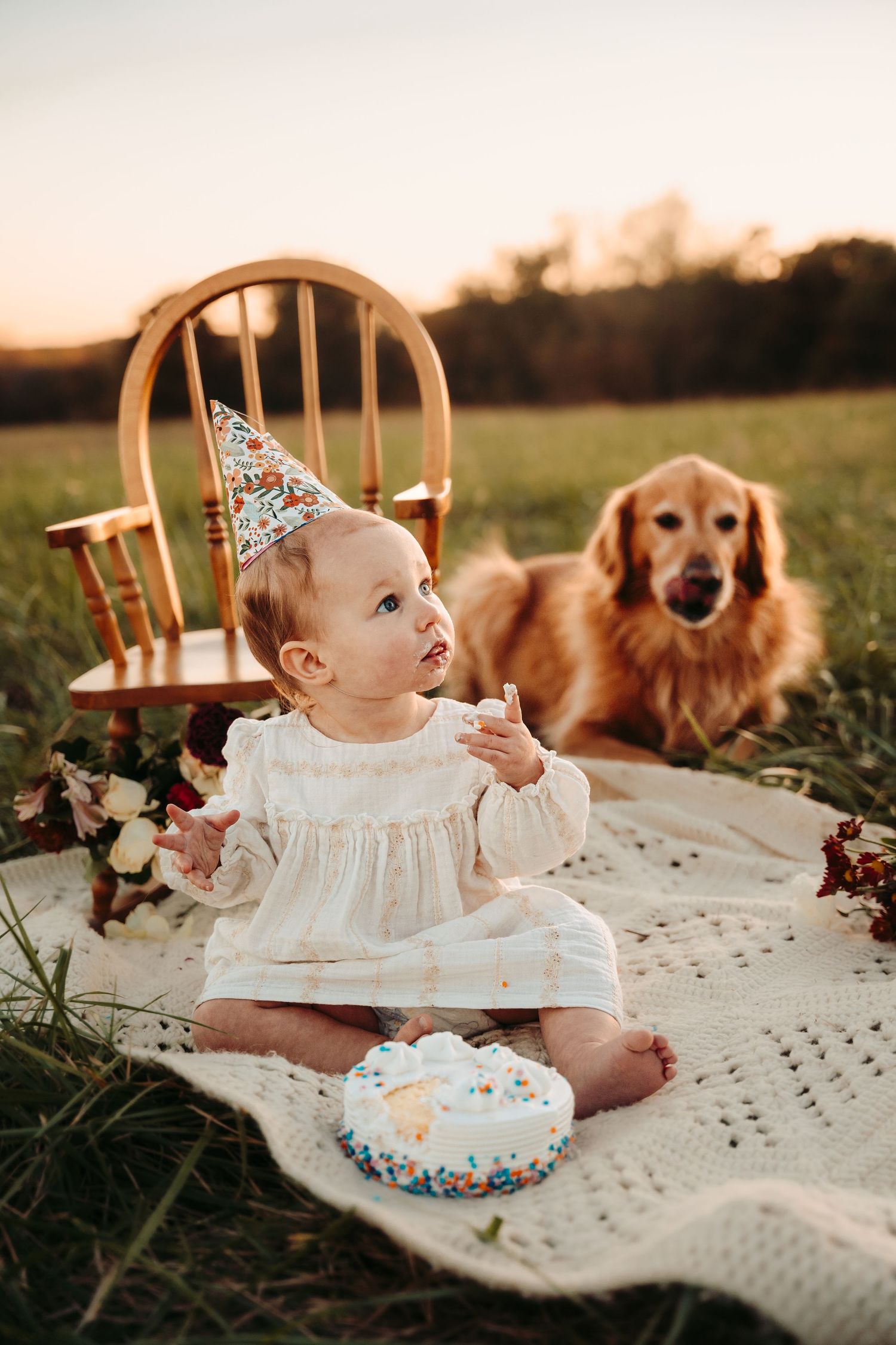 Baby in white dress sits on blanket with golden retriever during outdoor sunset photoshoot.