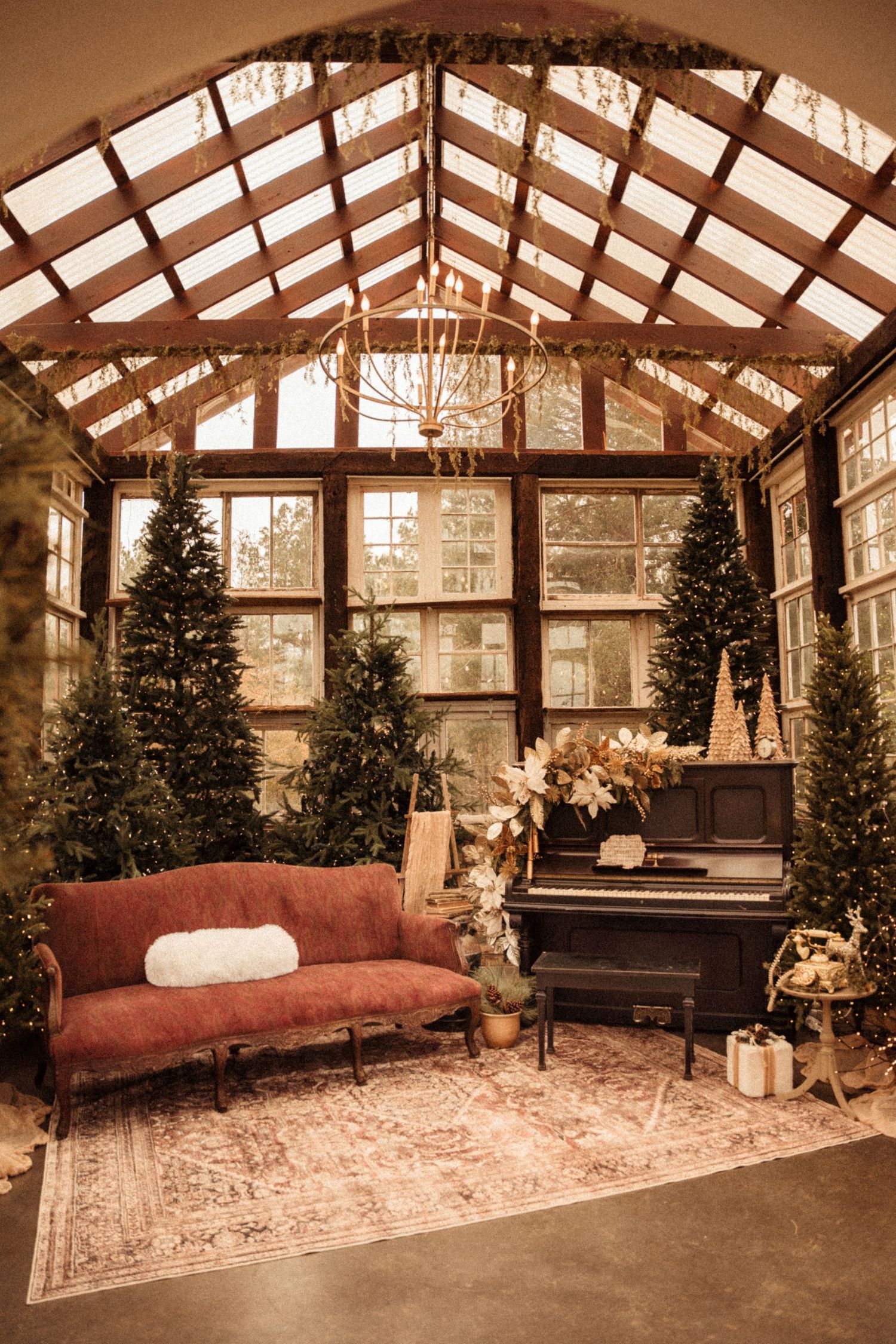Greenhouse interior decorated with Christmas trees, vintage furniture and natural lighting.