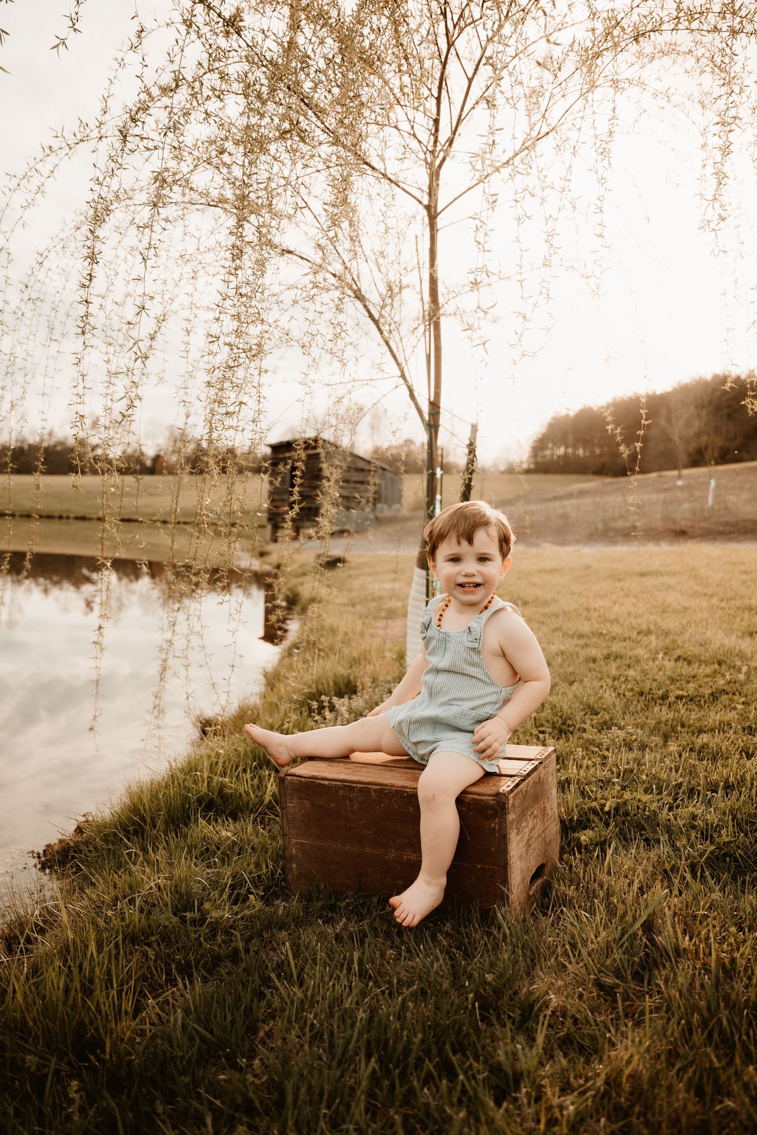 Vintage sepia-toned photo of a toddler sitting on an antique wooden chest in a grassy field.