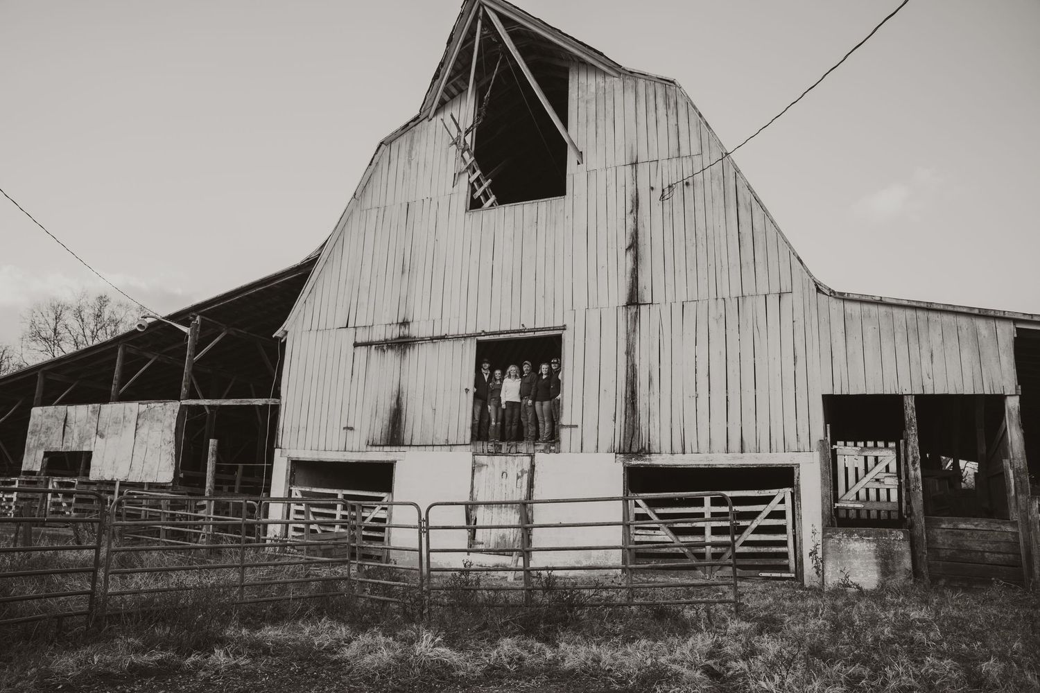 Black and white panoramic view of vintage barn structures and fencing.