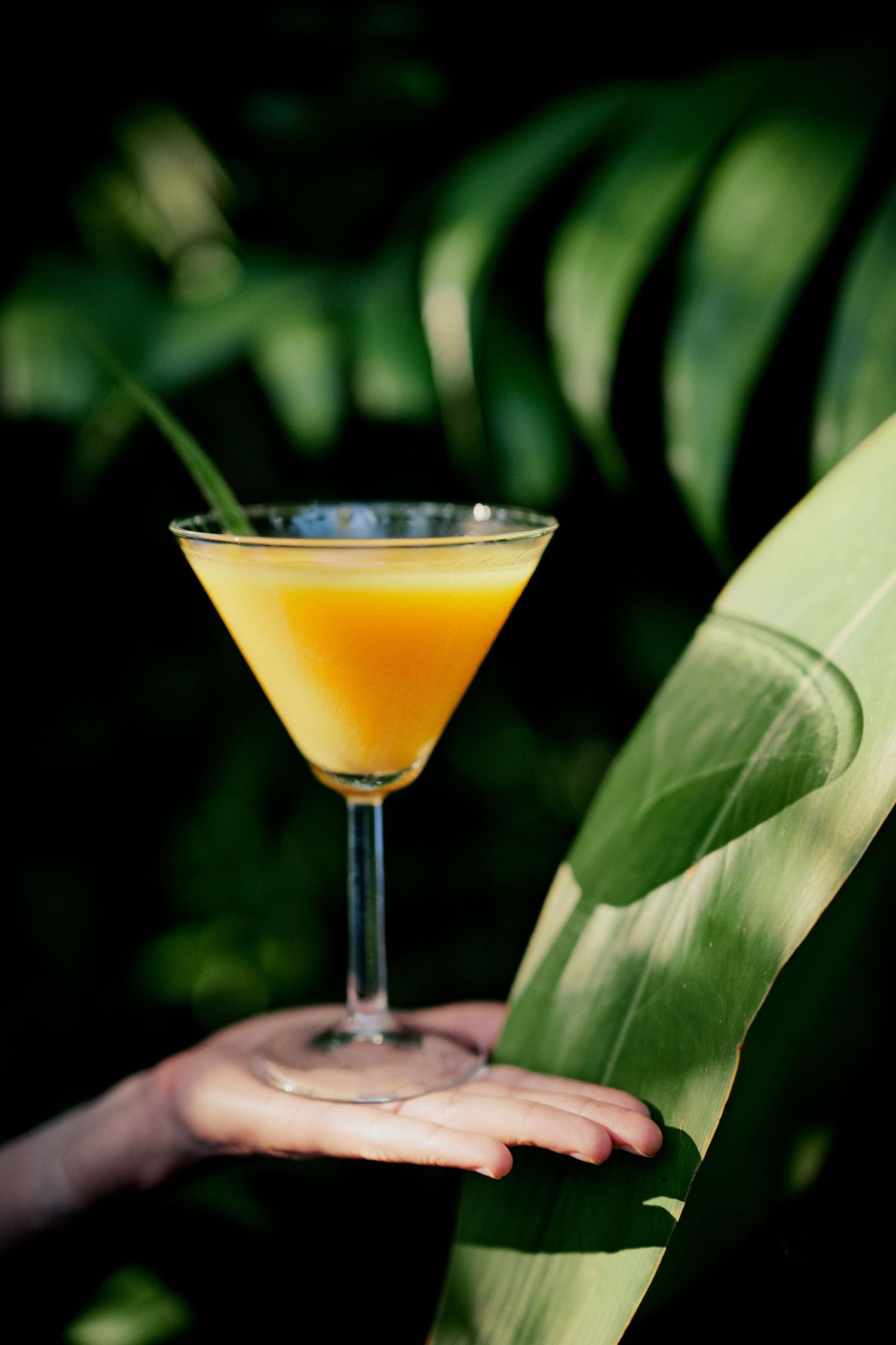 Cocktail on a table
