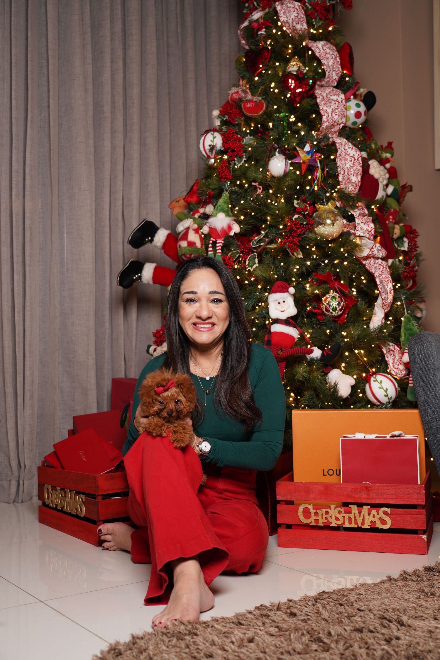 Fotografía profesional , set navideño. fotografía familiar con mascotas