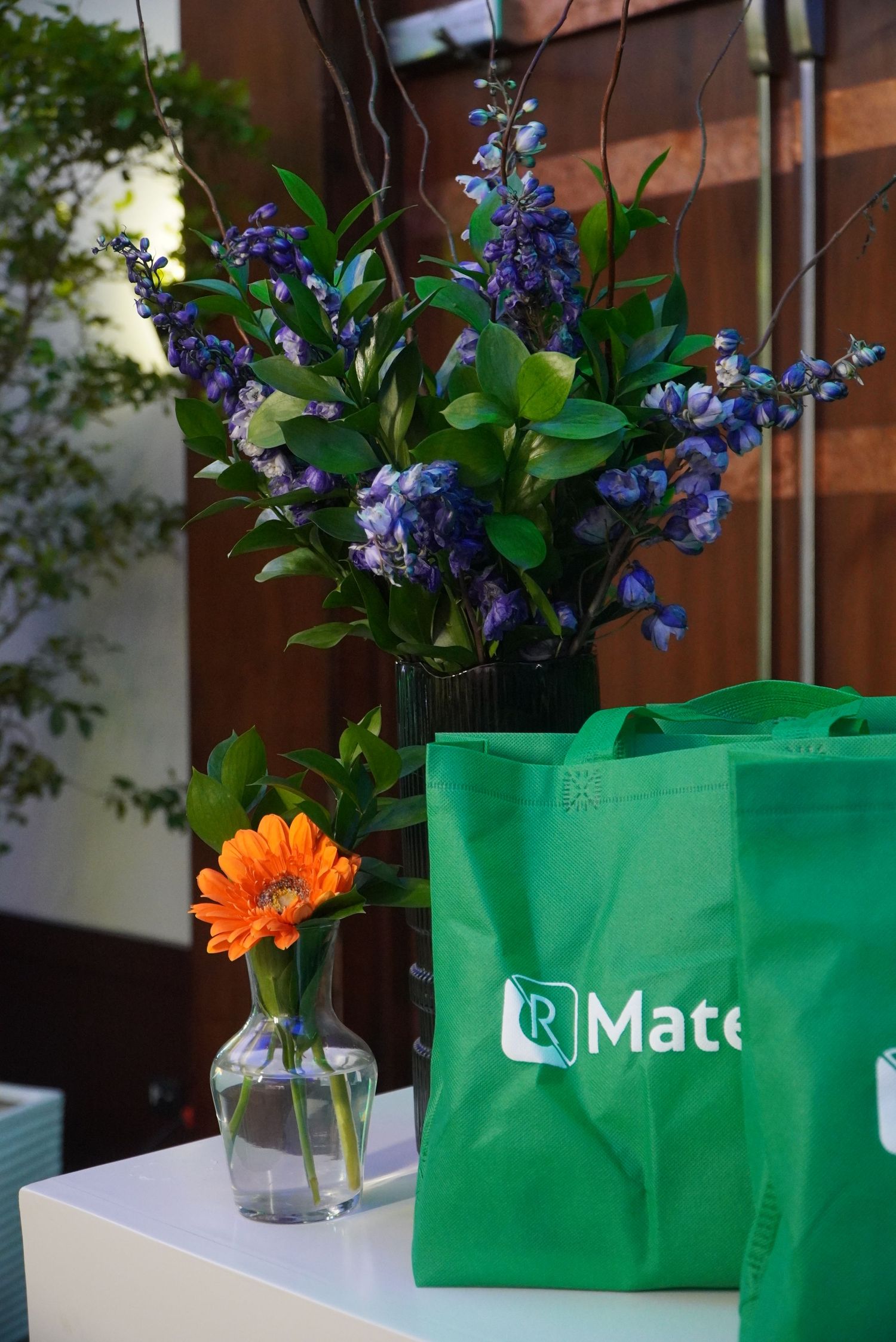 Fotografía profesional, cobertura evento. Actividad Materna Referencia.
