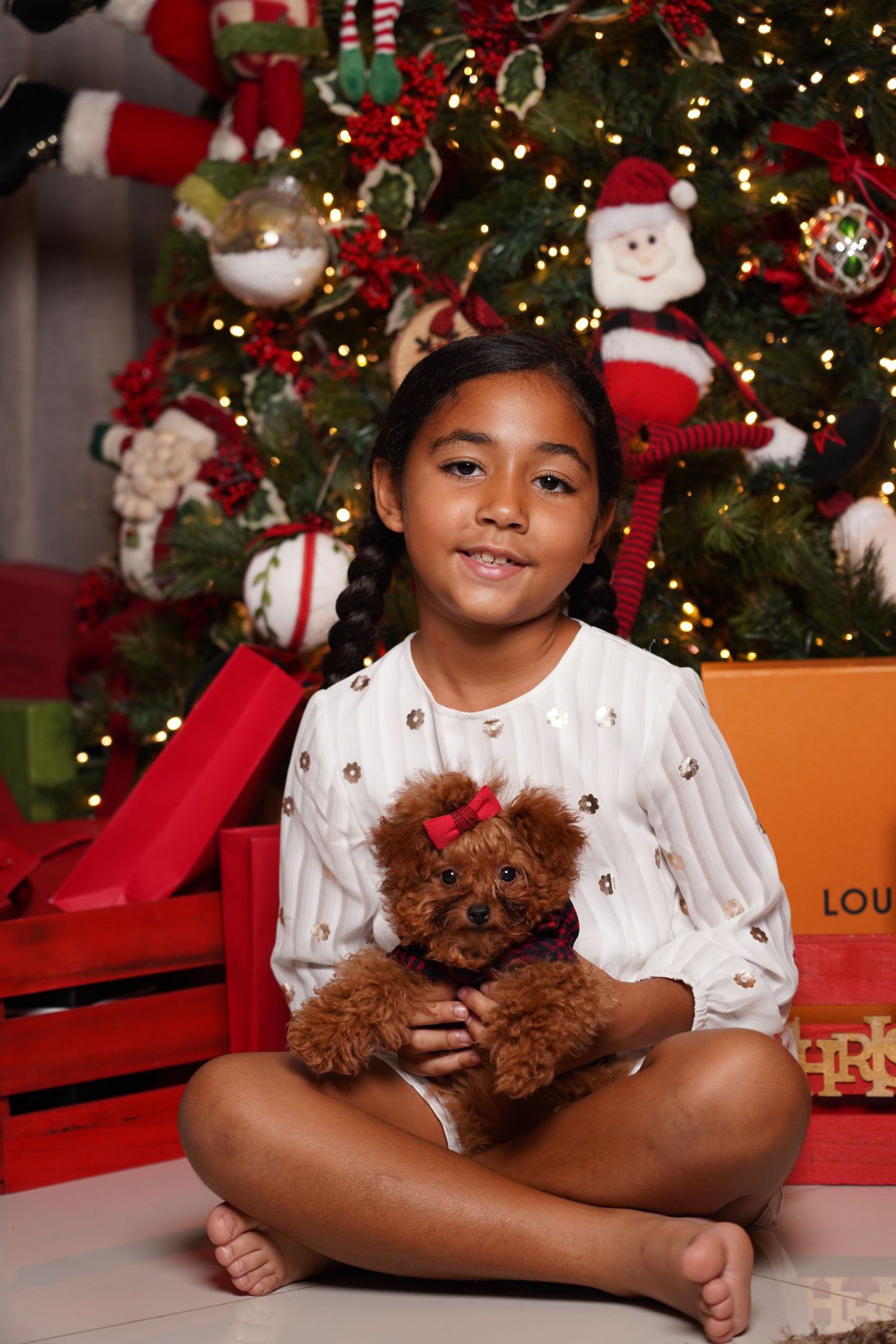 Fotografía profesional , set navideño. fotografía familiar con mascotas