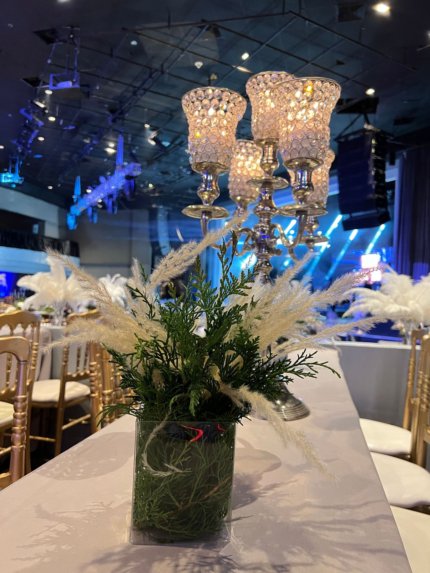 Fotografía profesional, cobertura evento Fiesta de navidad.