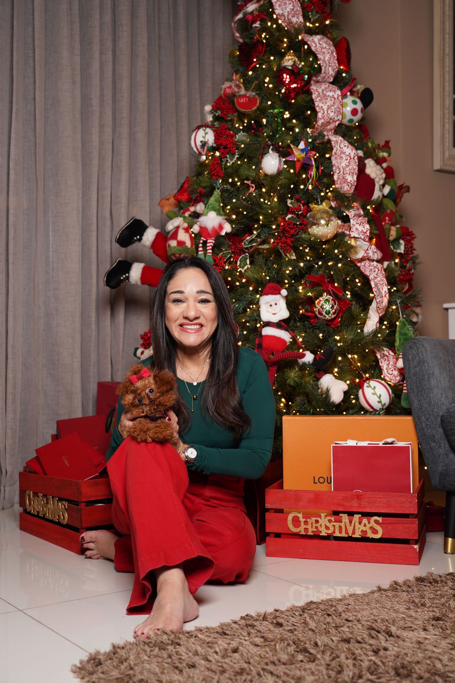 Fotografía profesional , set navideño. fotografía familiar con mascotas