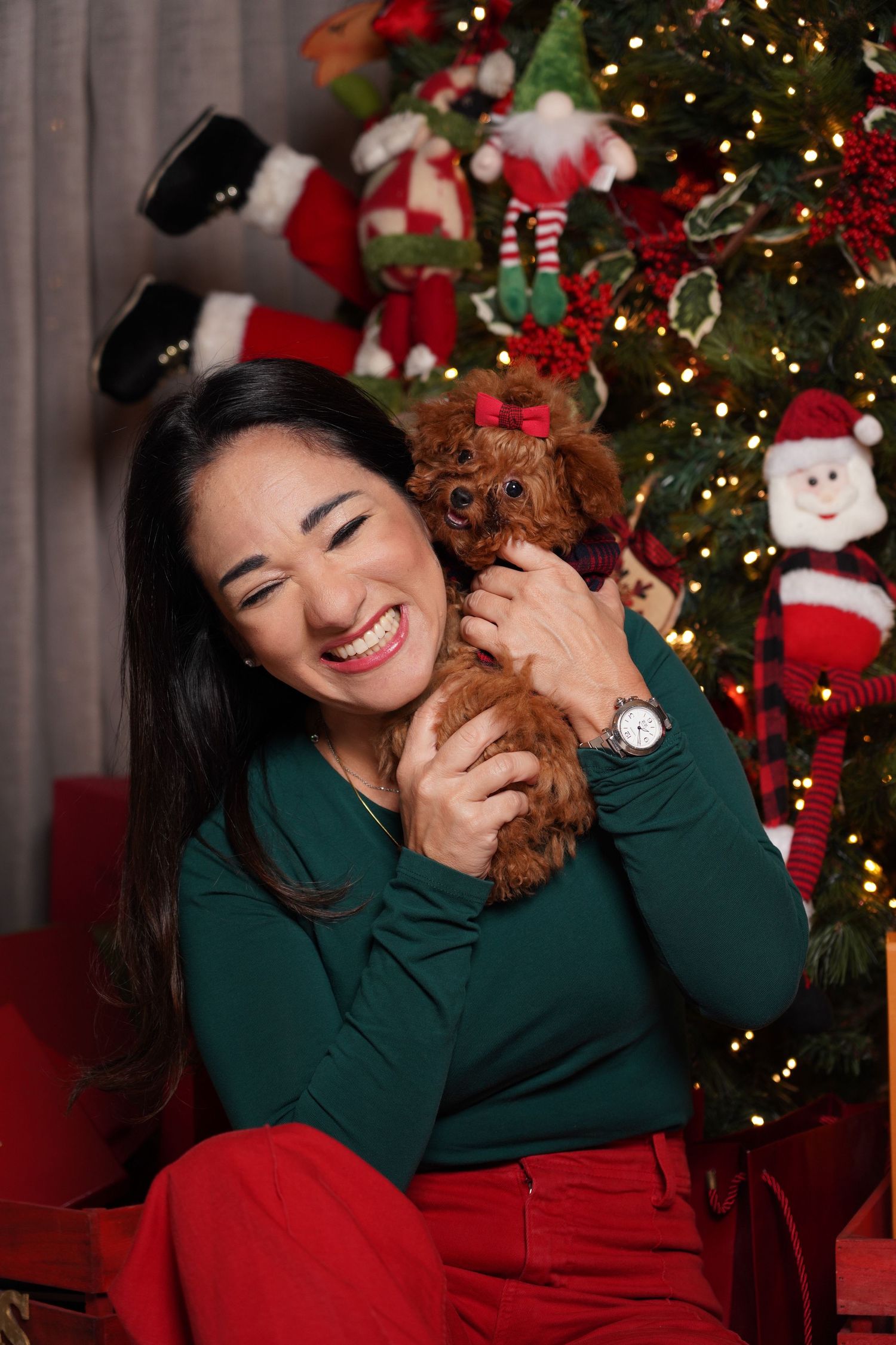Fotografía profesional , set navideño. fotografía familiar con mascotas