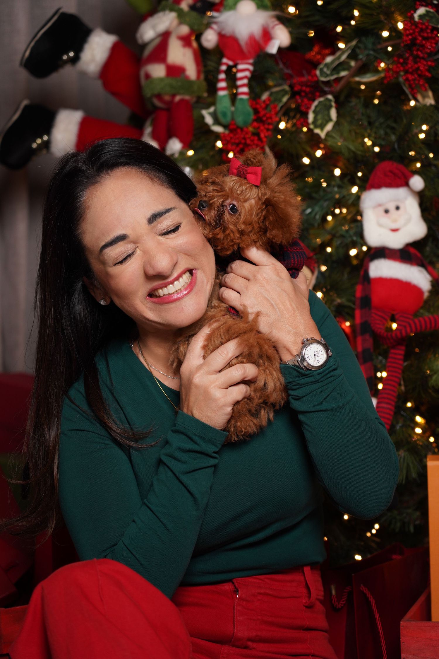 Fotografía profesional , set navideño. fotografía familiar con mascotas