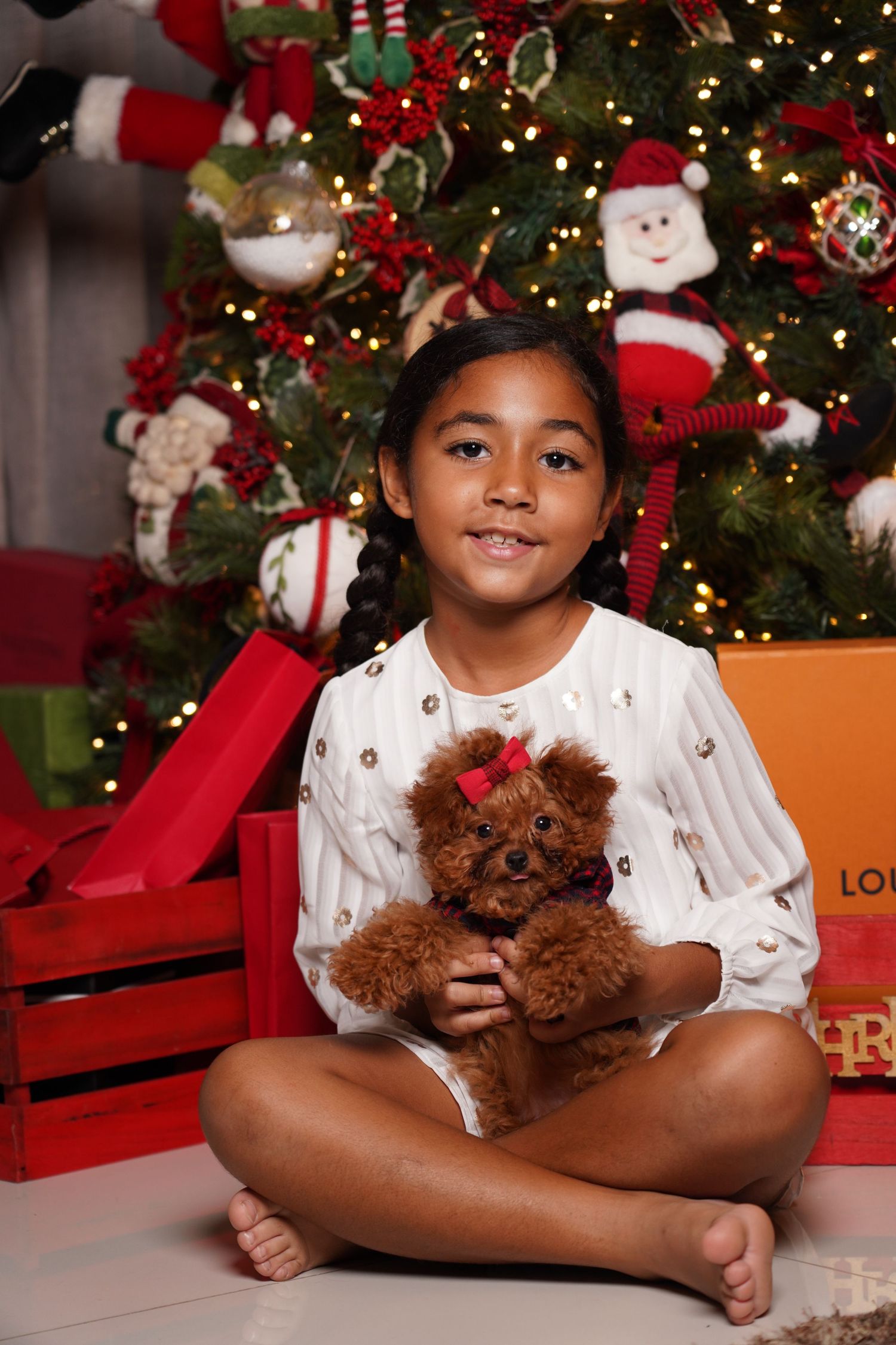 Fotografía profesional , set navideño. fotografía familiar con mascotas