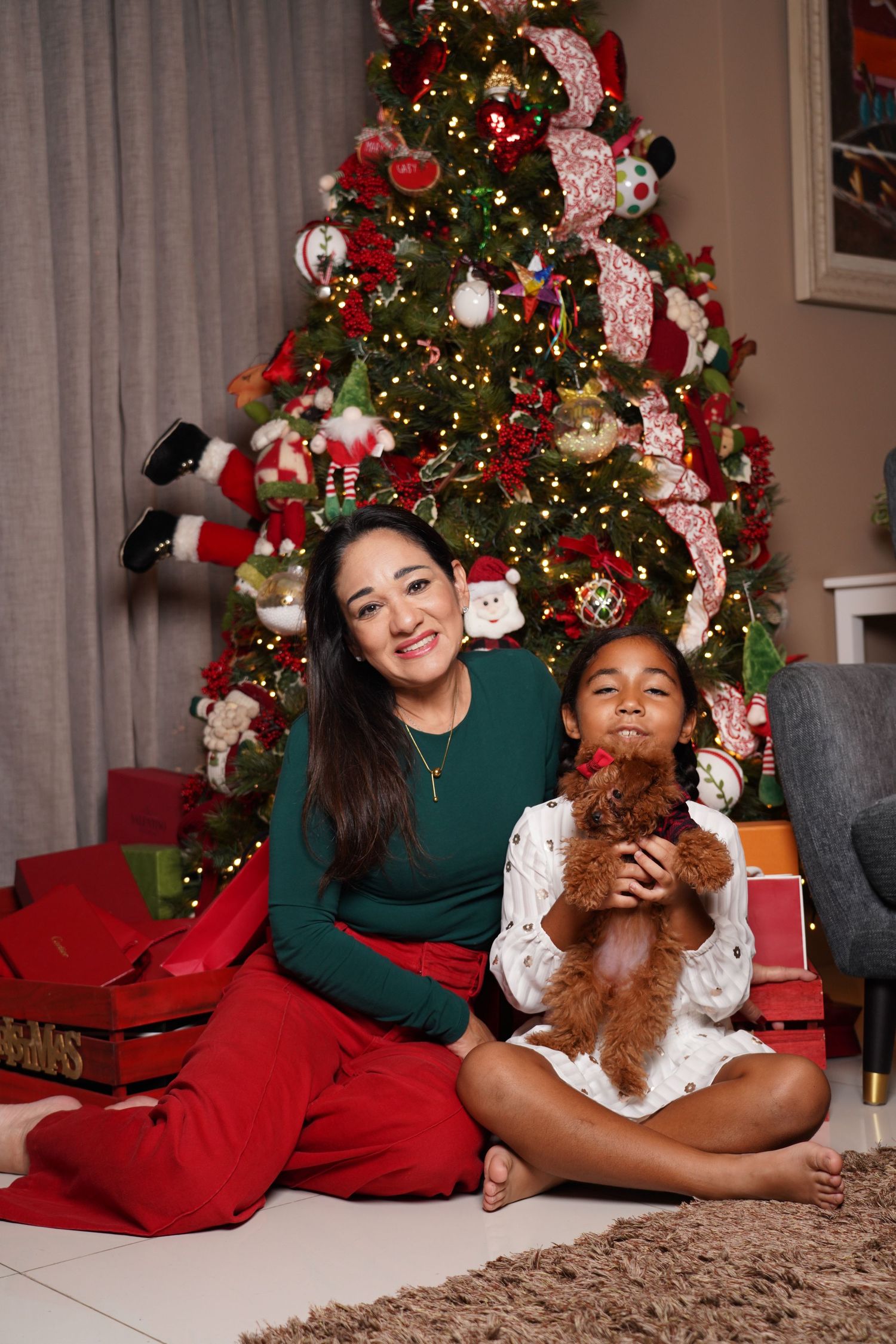 Fotografía profesional , set navideño. fotografía familiar con mascotas