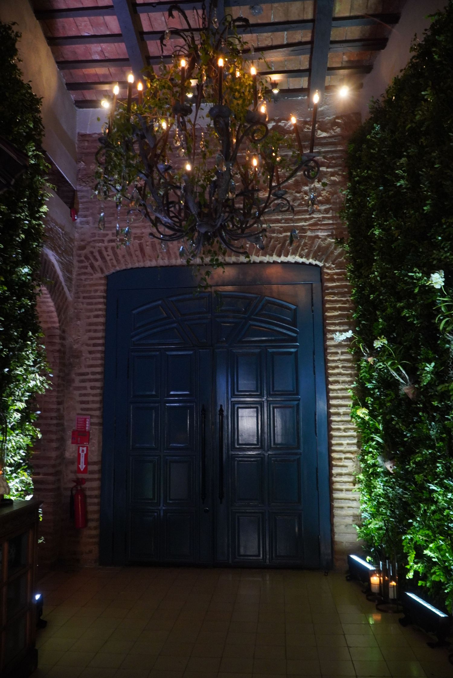 Fotografía profesional, decoracion de bodas. pre boda, luz tenue.
