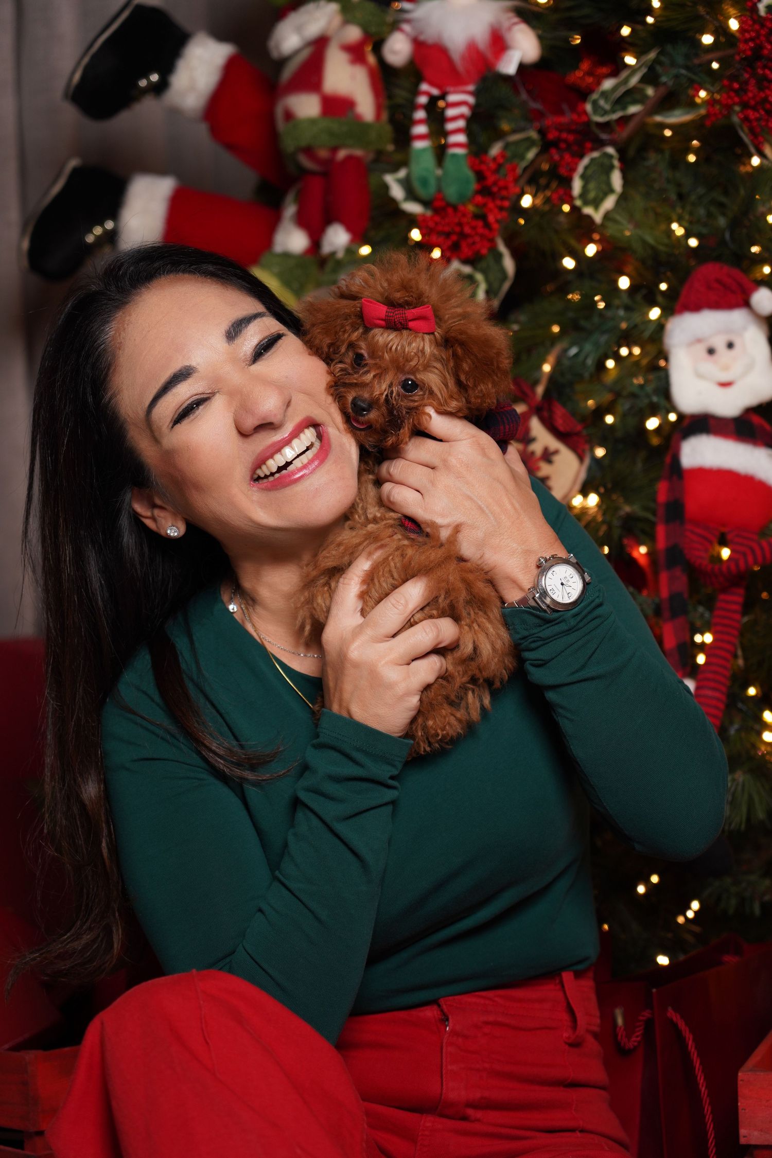 Fotografía profesional , set navideño. fotografía familiar con mascotas