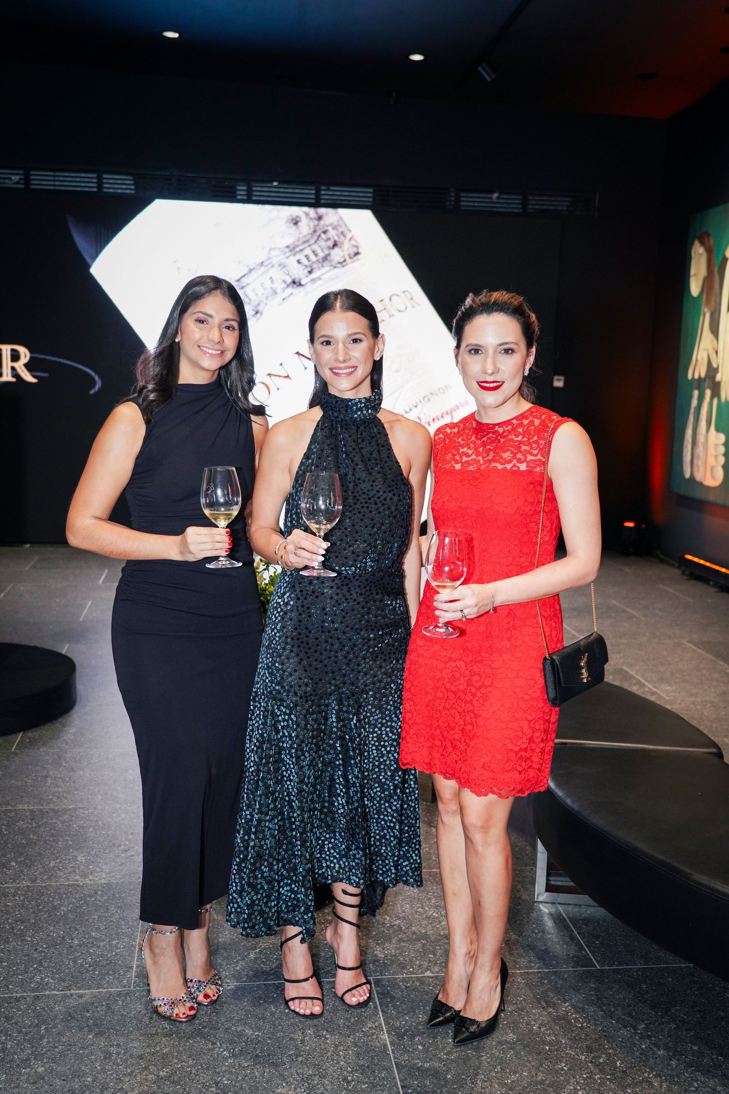 Fotografía profesional, cobertura evento corporativos. Bebidas alcohólicas. vinos. prensa