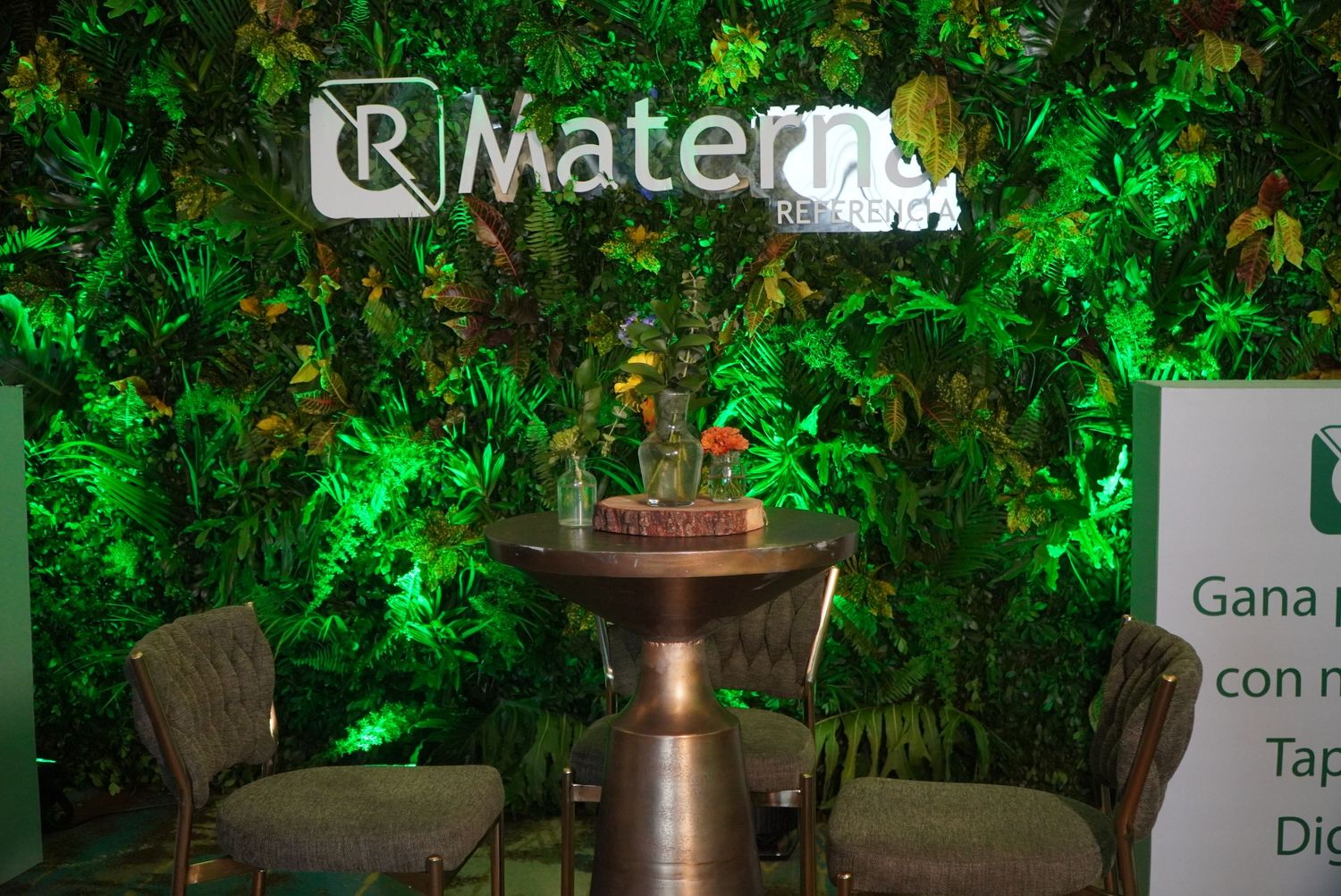 Fotografía profesional, cobertura evento. Actividad Materna Referencia.