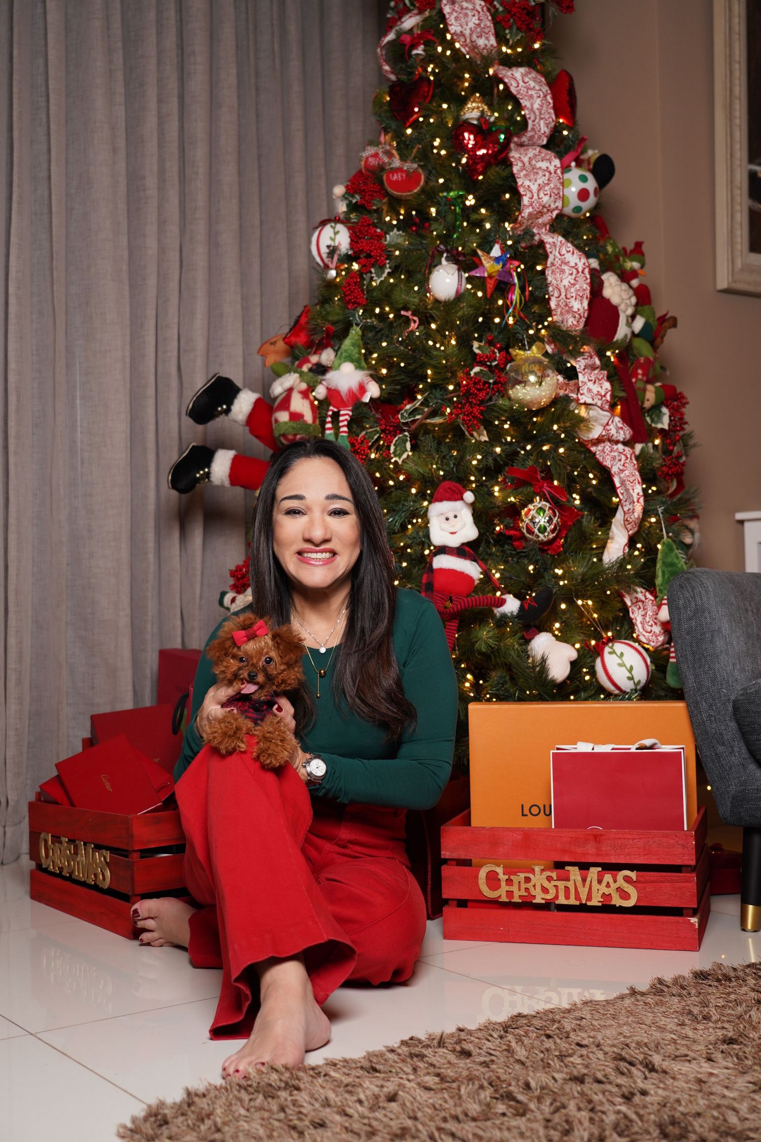 Fotografía profesional , set navideño. fotografía familiar con mascotas