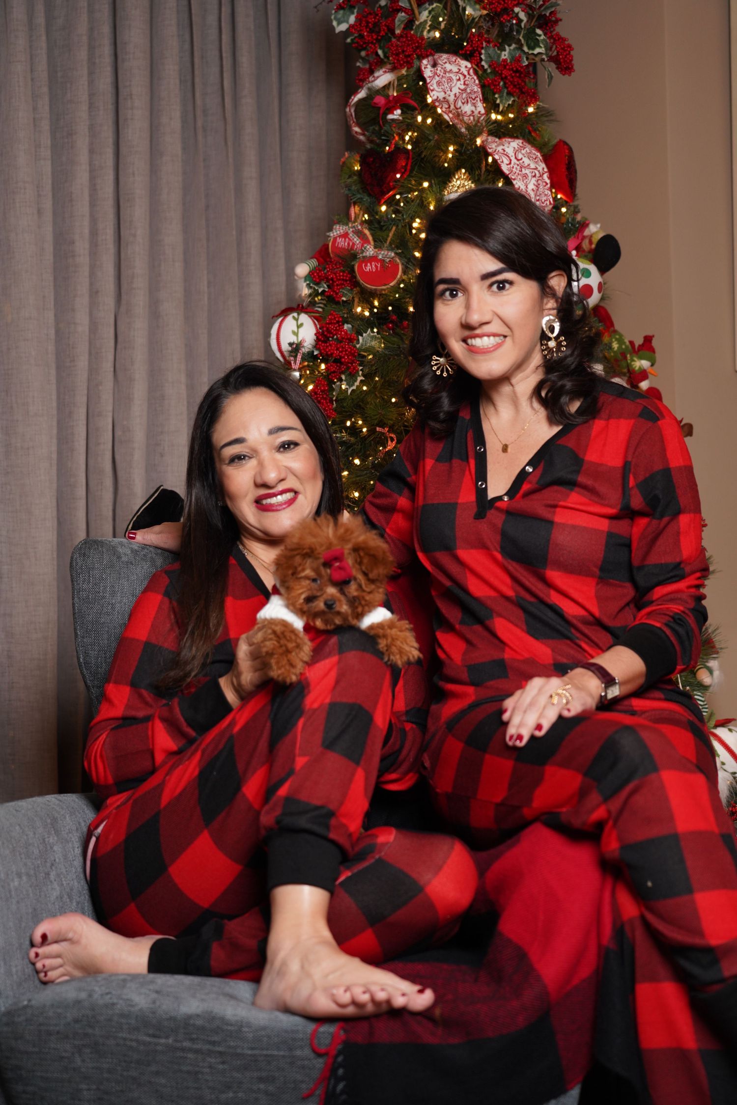 Fotografía profesional , set navideño. fotografía familiar con mascotas