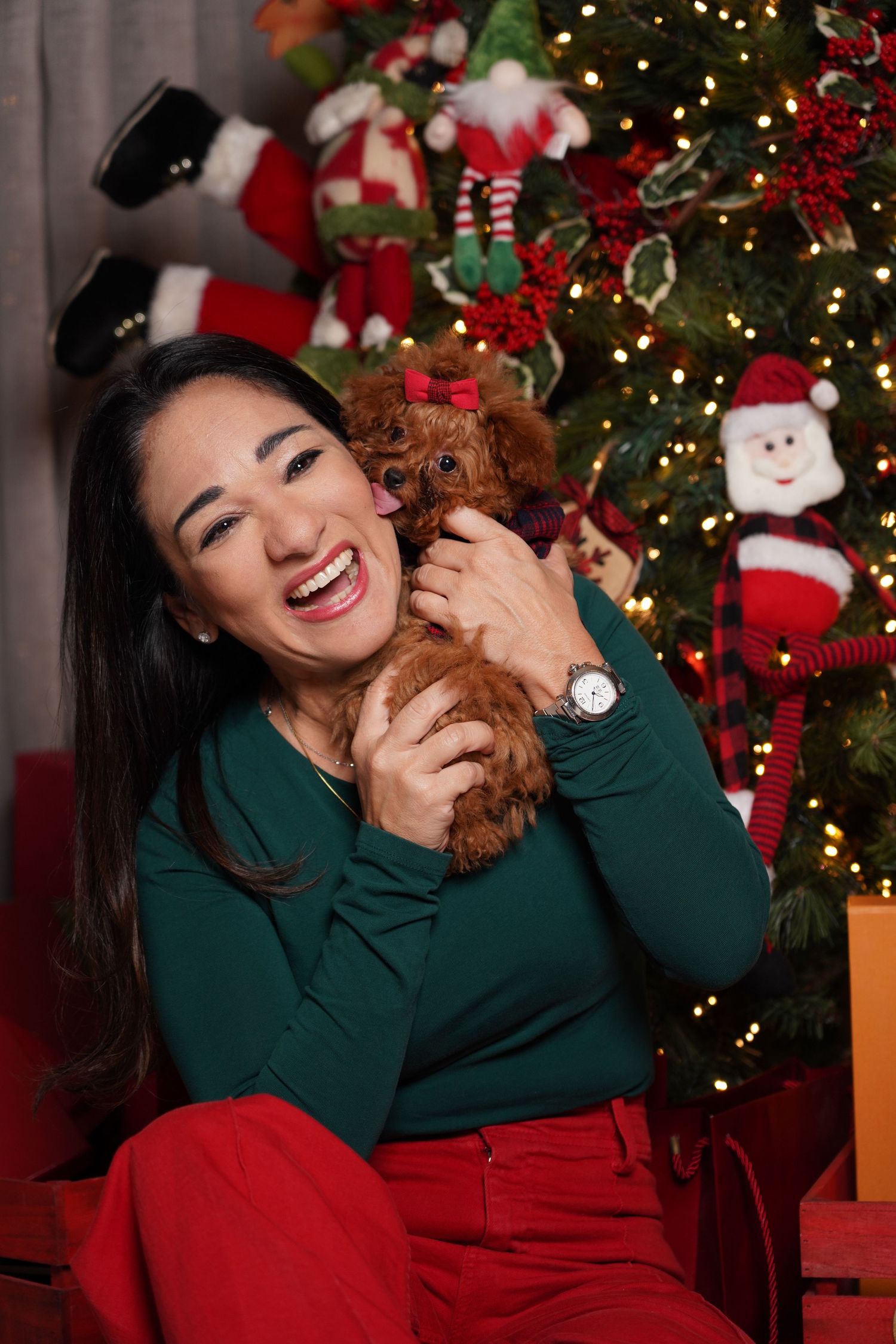 Fotografía profesional , set navideño. fotografía familiar con mascotas