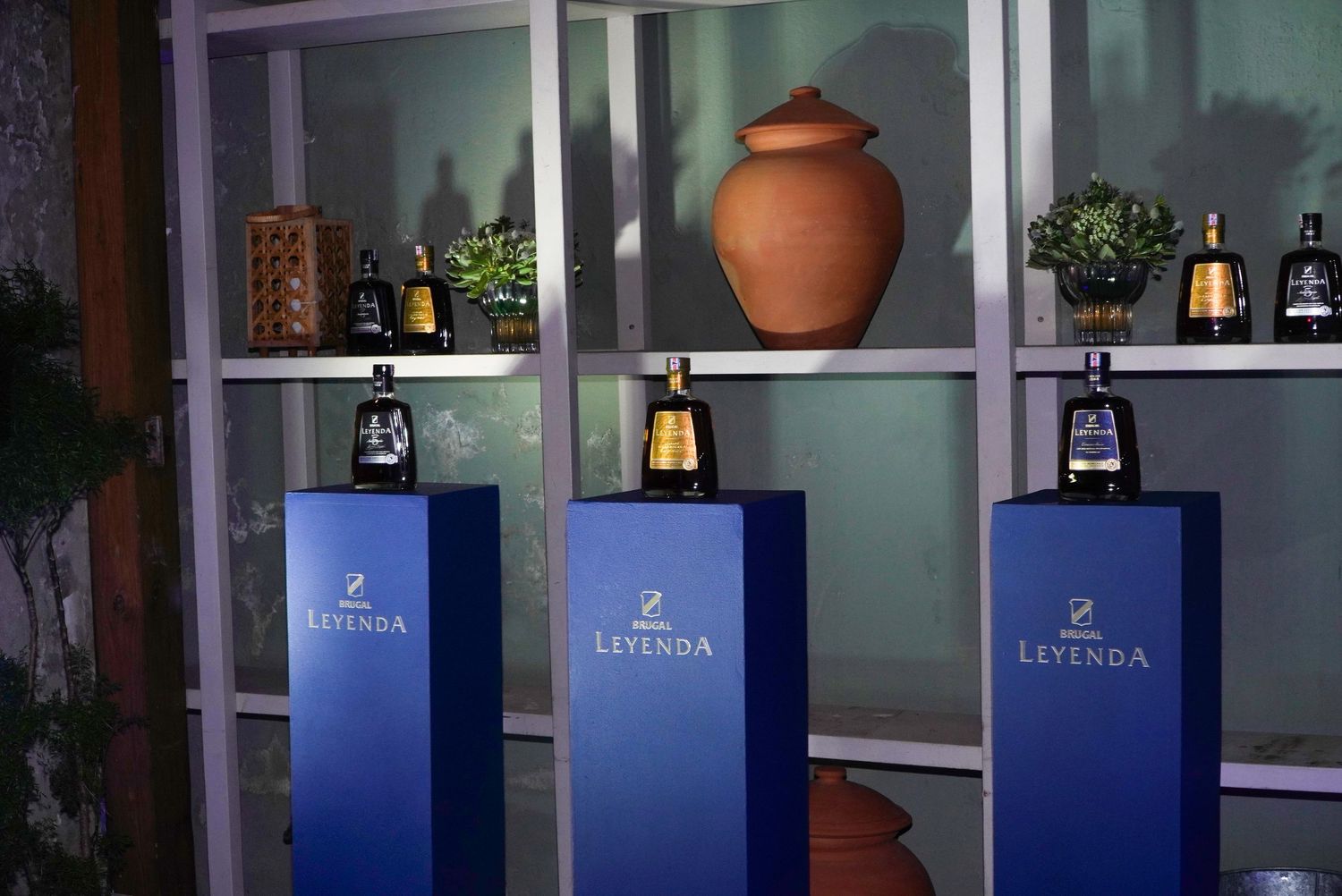 Fotografía profesional, cobertura evento corporativos. Bebidas alcohólicas.