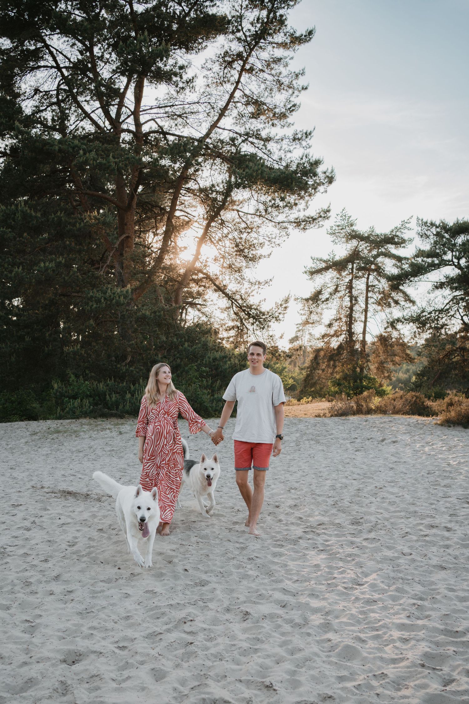 Spontane zwangerschaps fotoshoot van een stel met hun twee honden in het zand van de Soester Duinen bij zonsondergang.