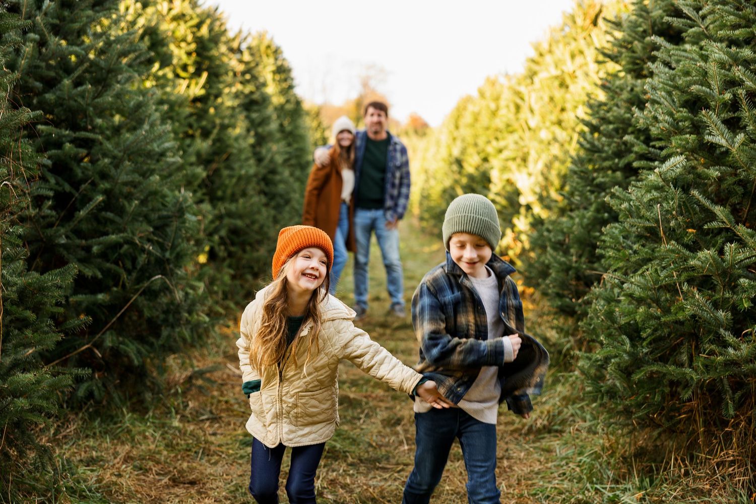 Family enjoying an autumn day together at a Christmas tree farm among evergreen trees.