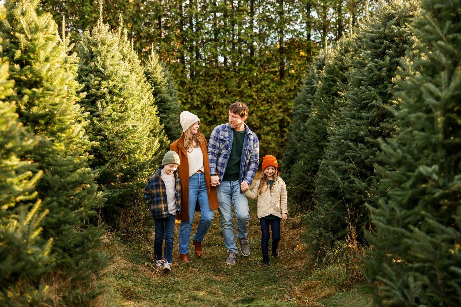 Family walking together through rows of evergreen trees at a Christmas tree farm on a sunny autumn afternoon.