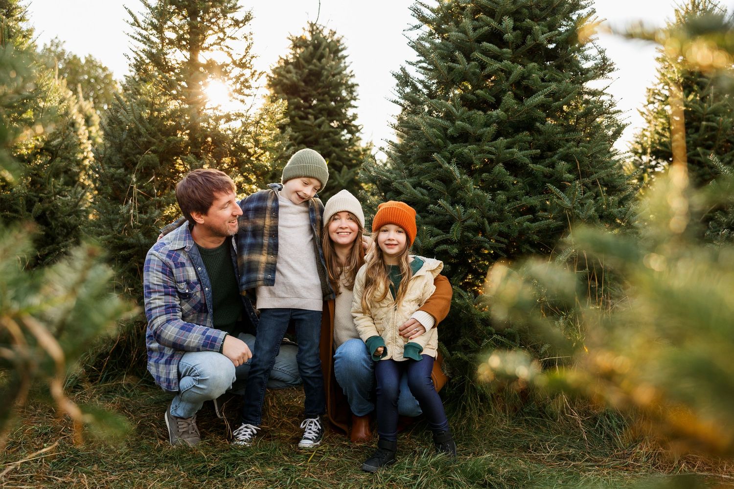 A cozy gathering between evergreen trees at a Christmas tree farm during sunset.