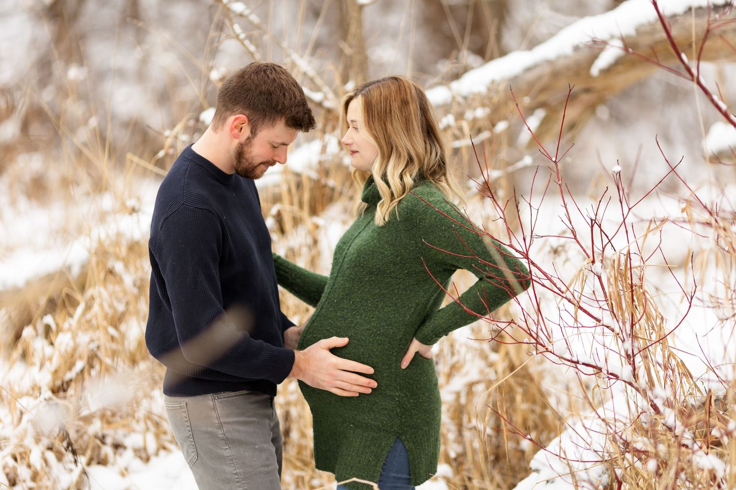 Couple embracing in a winter landscape with golden dried grass and snow.