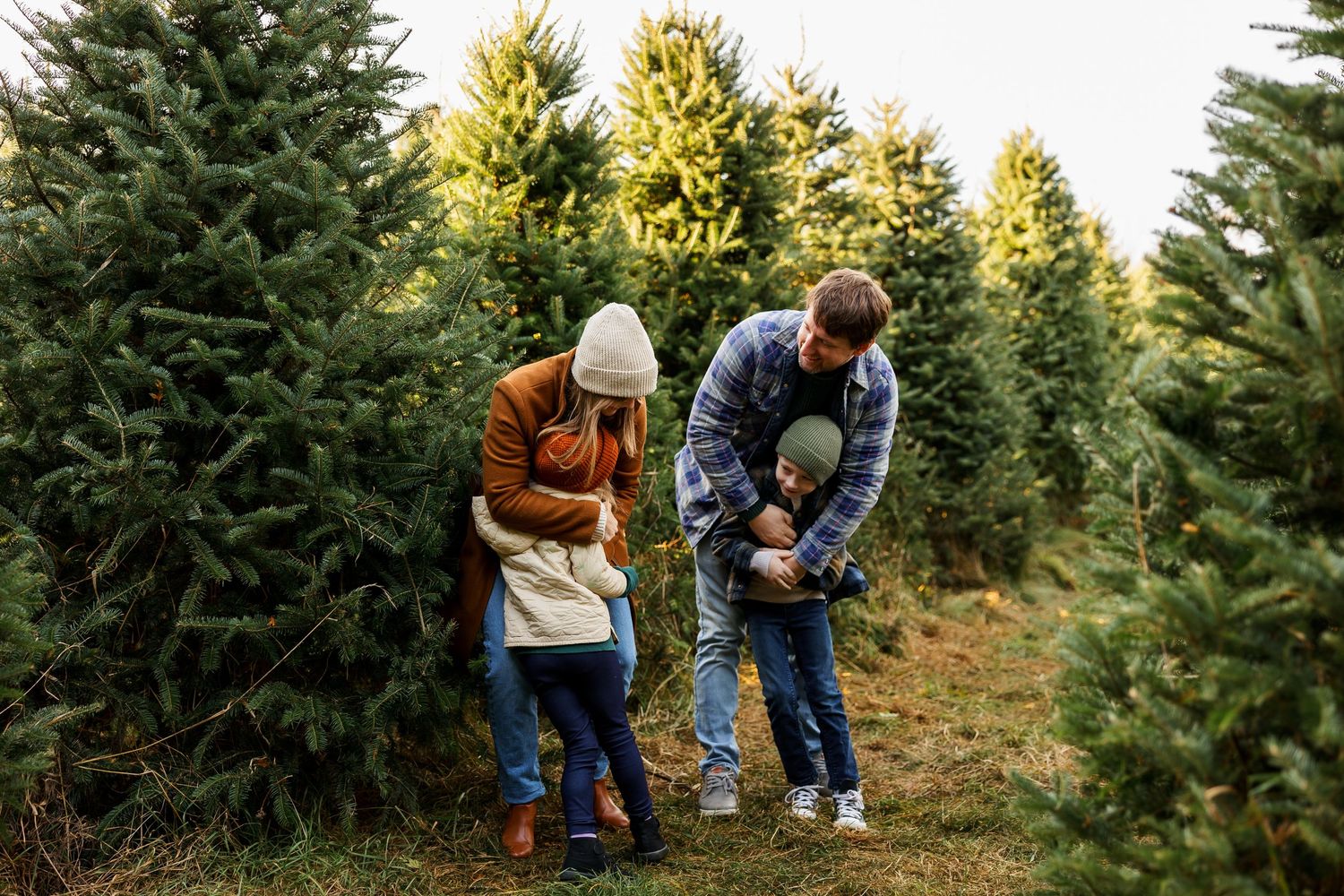 A group looks at Christmas trees at a tree farm on an autumn day surrounded by evergreen trees.
