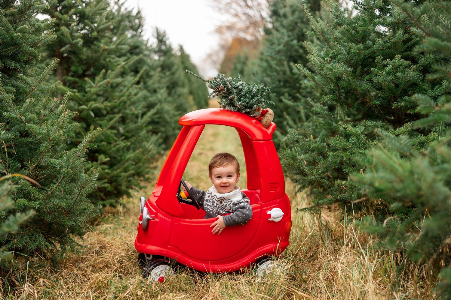 Child playing in red toy car among rows of Christmas trees.