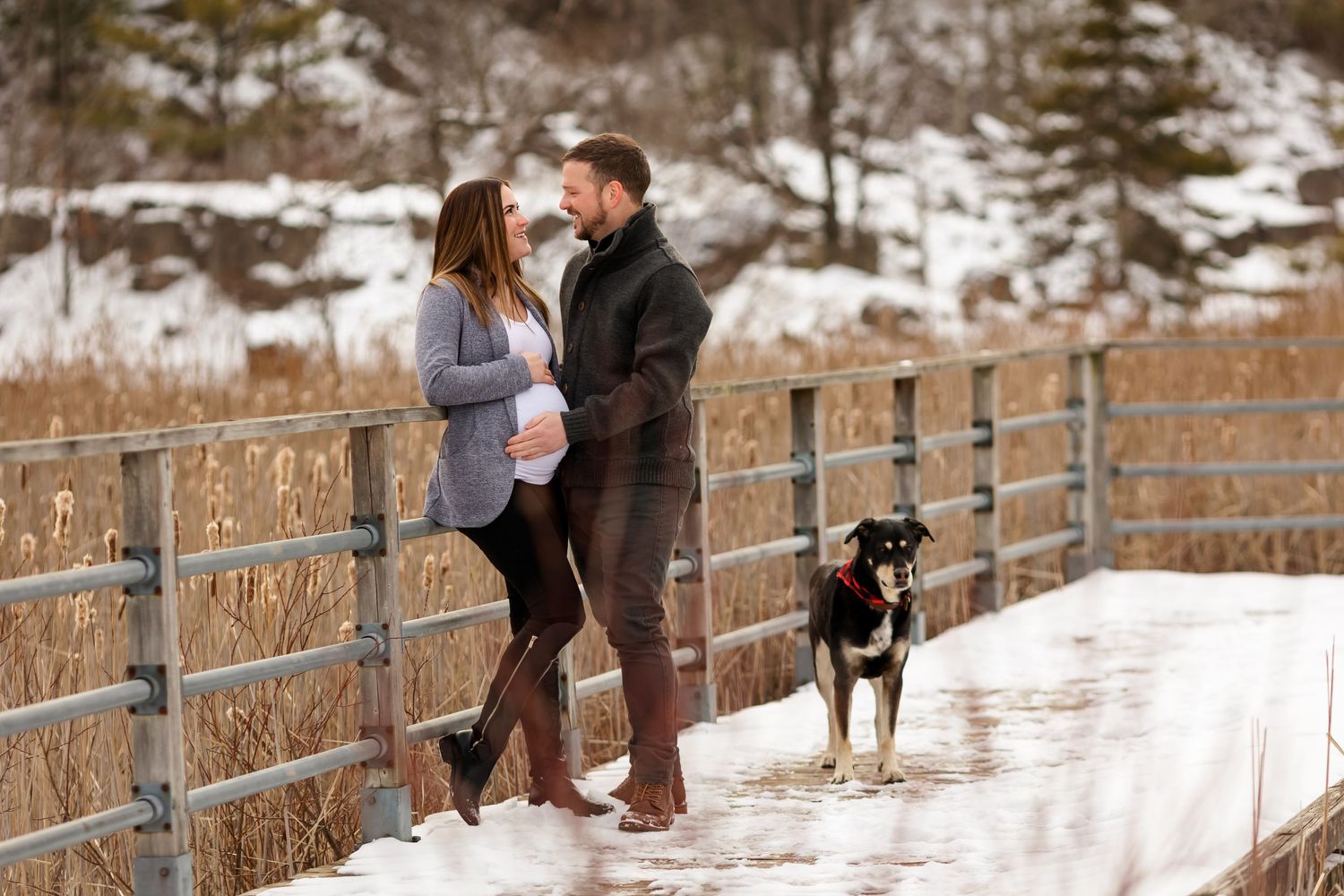 Couple shares intimate winter maternity moment on bridge with dog nearby.