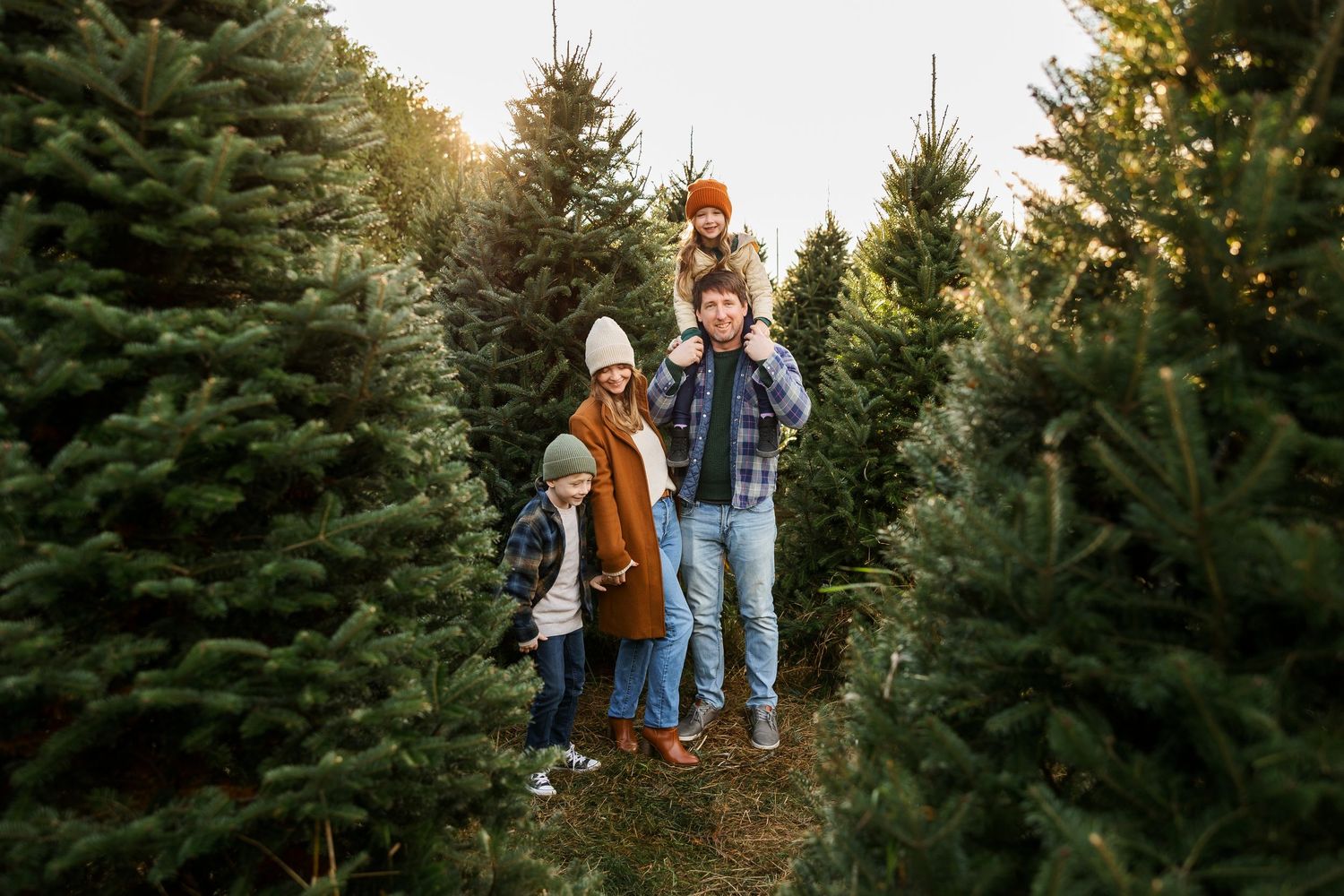 Group exploring and choosing Christmas trees at a tree farm during golden hour.