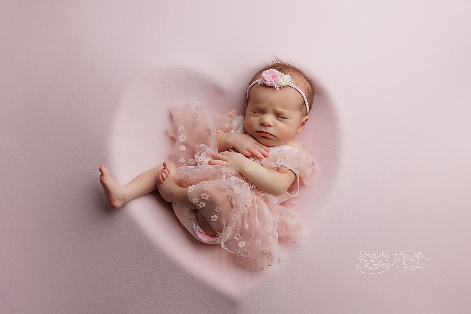 Sleeping newborn in pink tulle dress lying in heart-shaped setting.