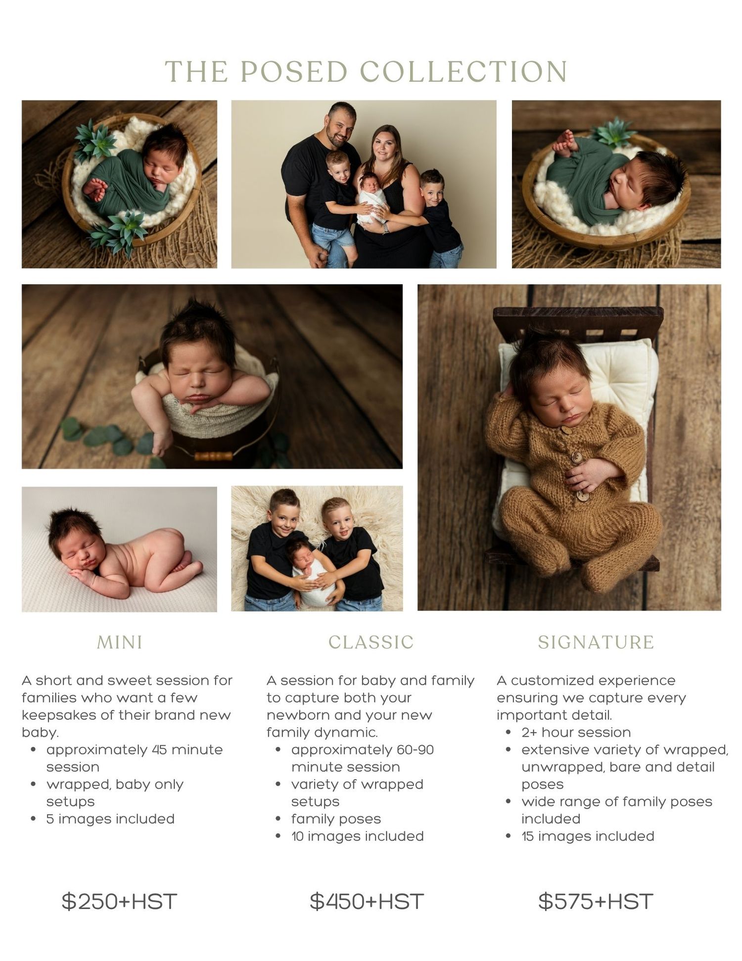 Professional newborn and family posed photography collection showcasing wrapped babies and family portraits in a studio setting.