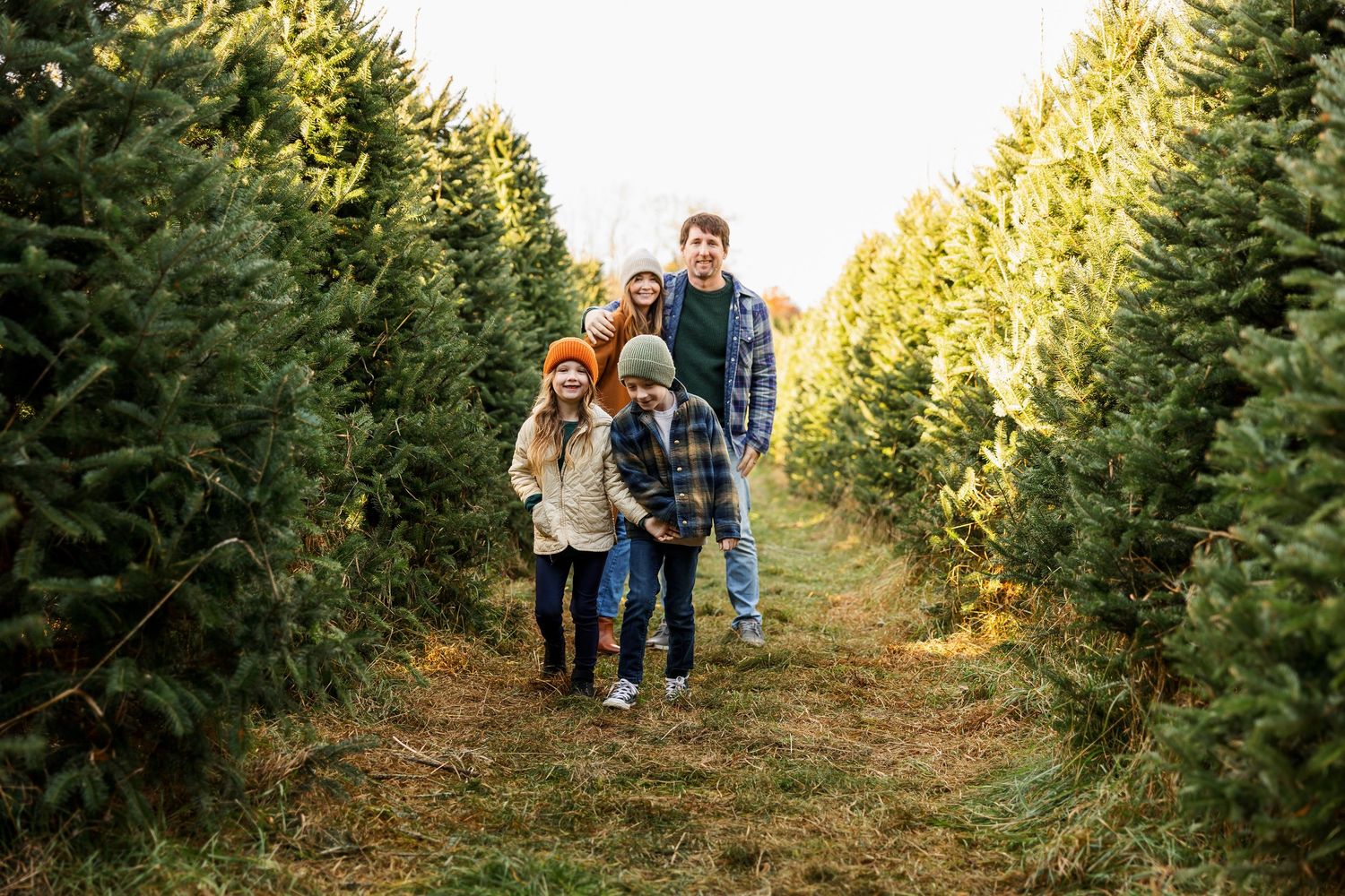 Family walking together between rows of tall evergreen trees at a Christmas tree farm.