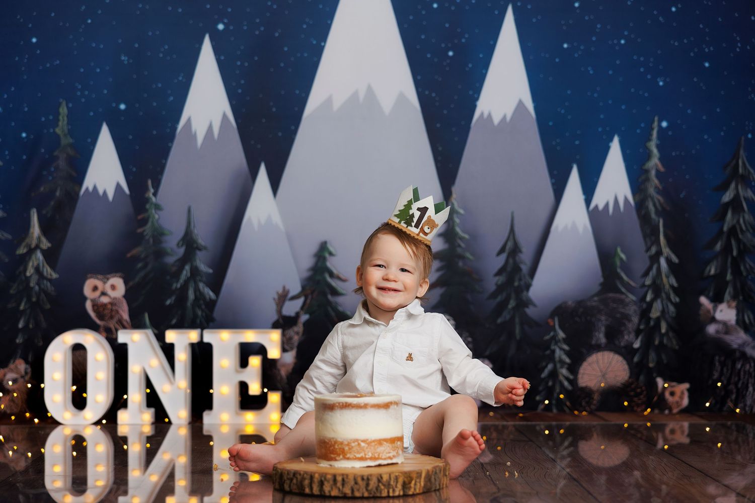 Winter wonderland themed first birthday setup with snowy mountains and night sky.