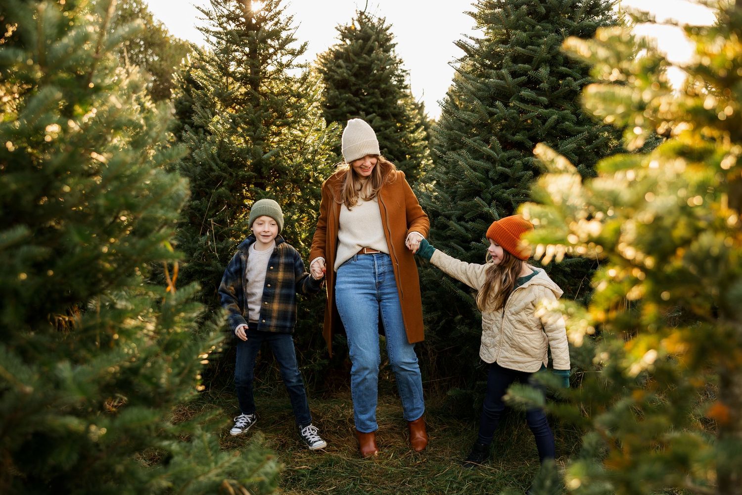 Family enjoying a playful moment between rows of evergreen trees at sunset.