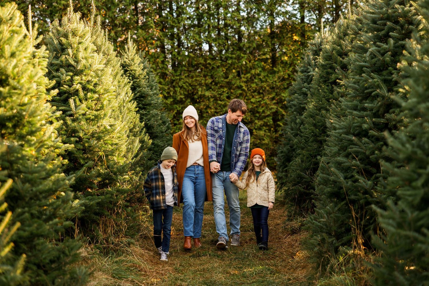 A family walks together through rows of evergreen trees at a Christmas tree farm during golden hour.