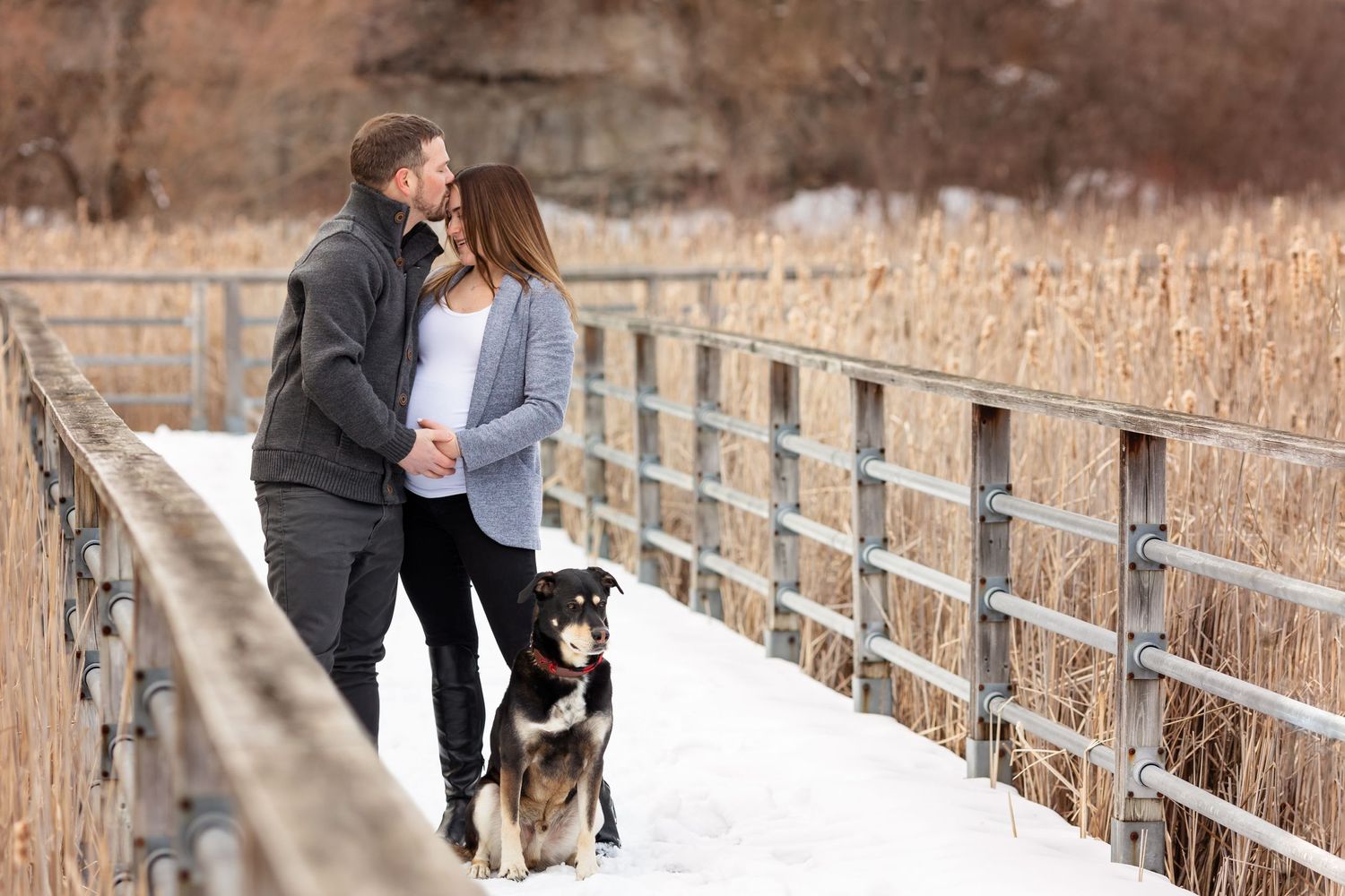 Maternity photo on wooden bridge with dog in winter landscape.