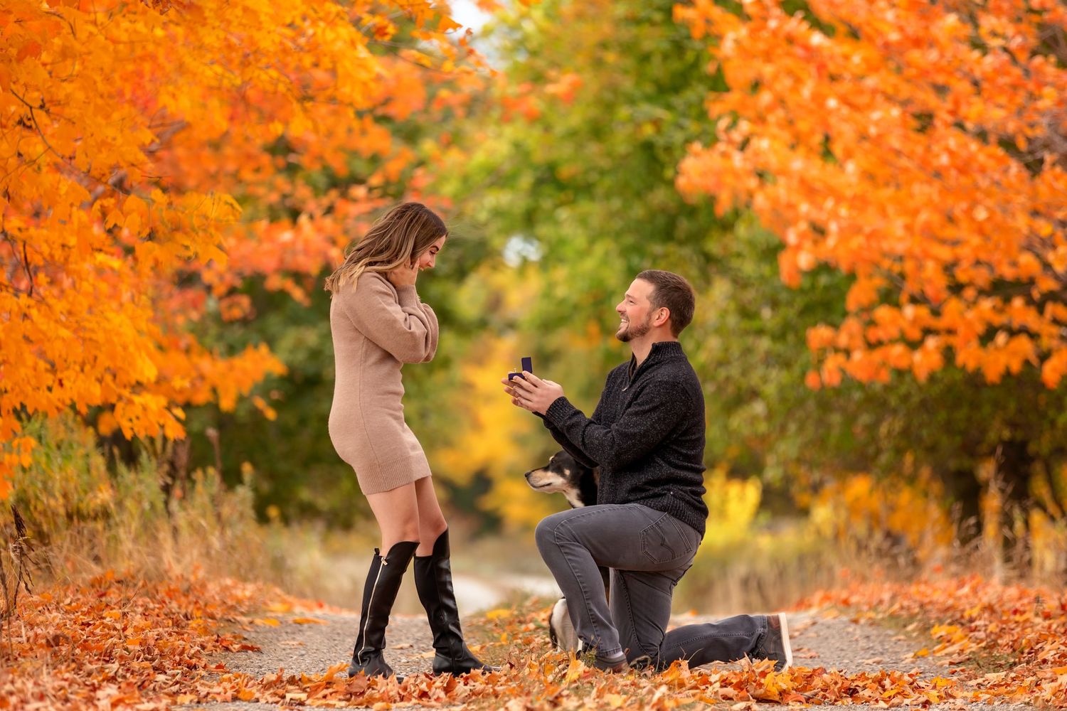 A romantic proposal scene with autumn foliage in vibrant orange and red colors.