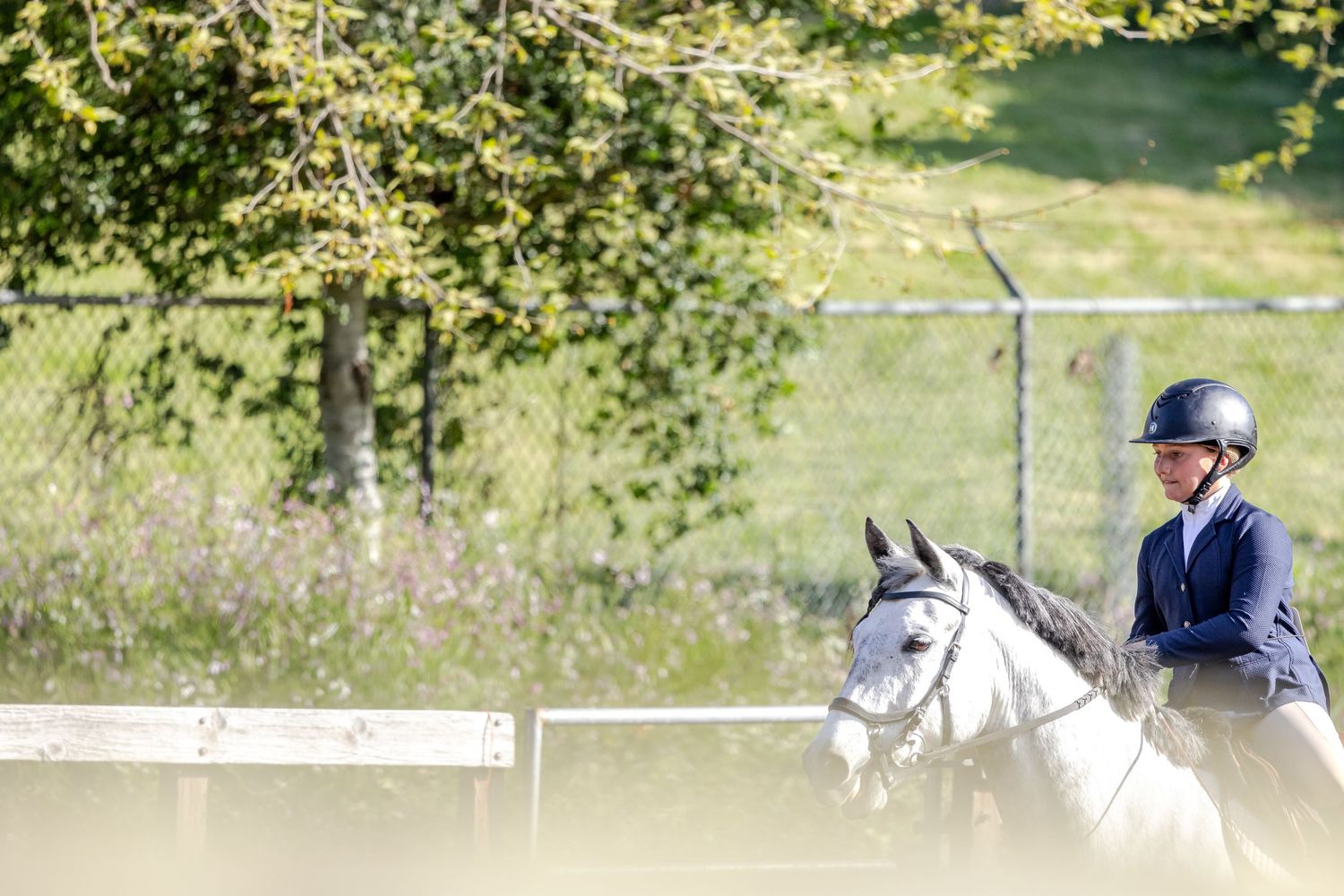 Dressage rider performing a test on a gray horse outdoors in a sandy arena with trees in background.