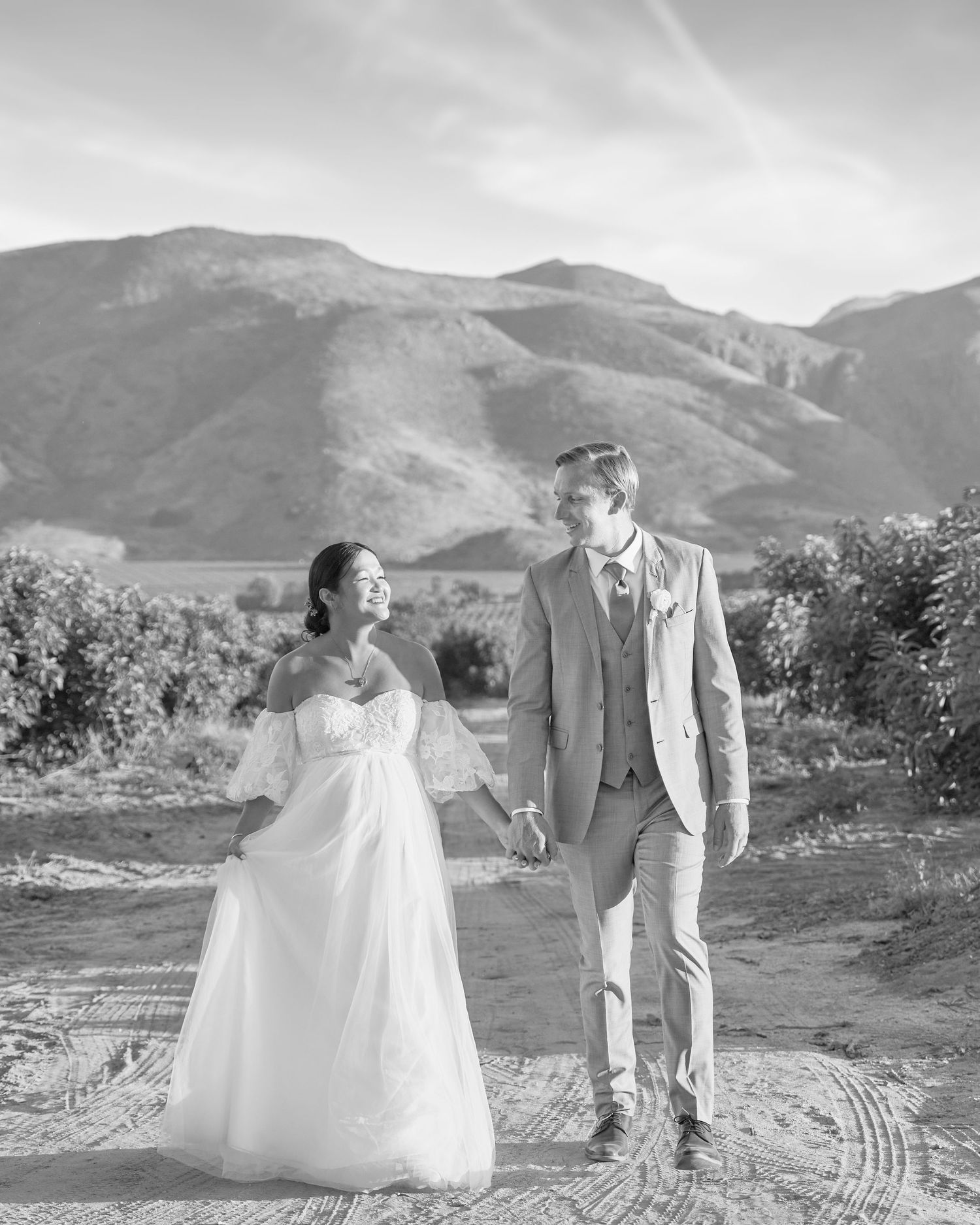 A bride and groom walking in the wine orchard with mountains behind them.