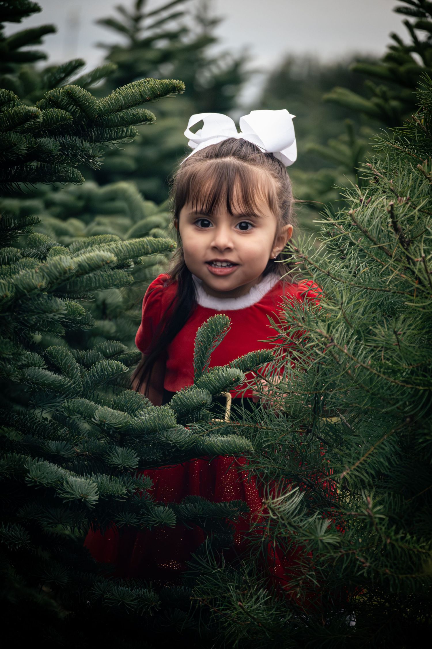 Photo by Emylee Yambao Unjaded Photography Family Photo Portland, Oregon