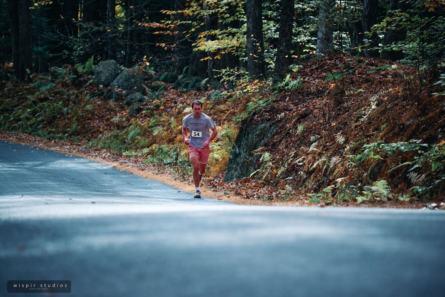 Winding forest trail with fall foliage and runners in the distance during an autumn race.