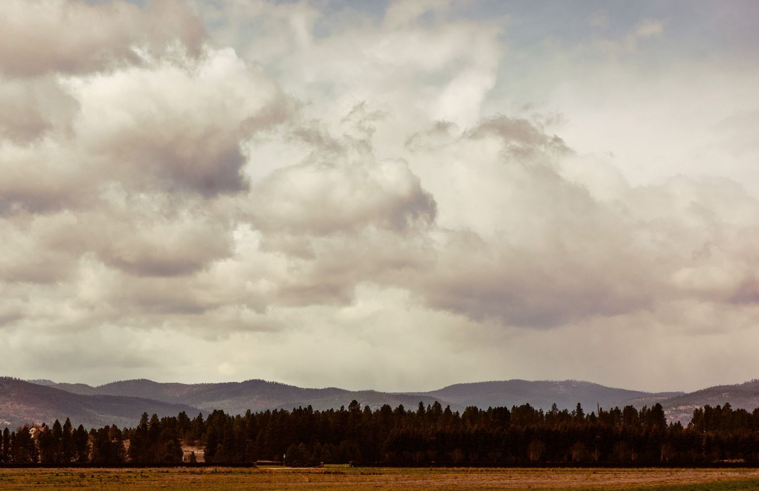 Mountain landscape with dark clouds looming over forested hills.